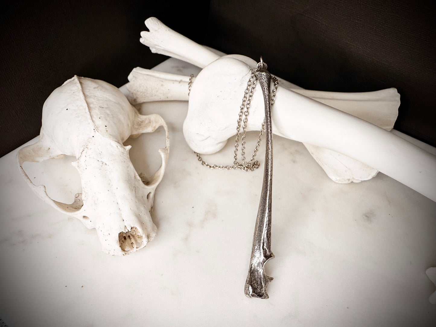 fox ulna necklace