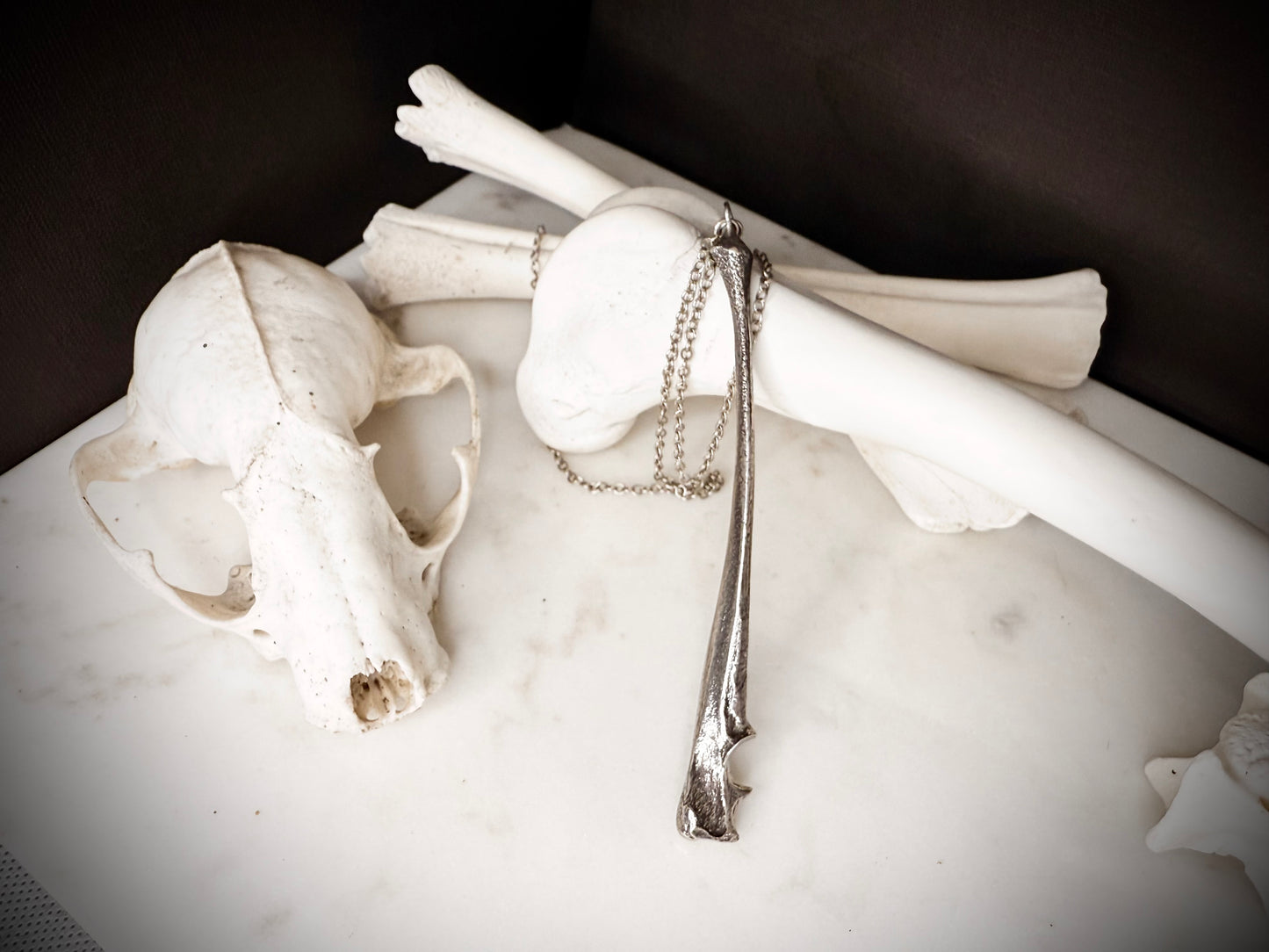 fox ulna necklace