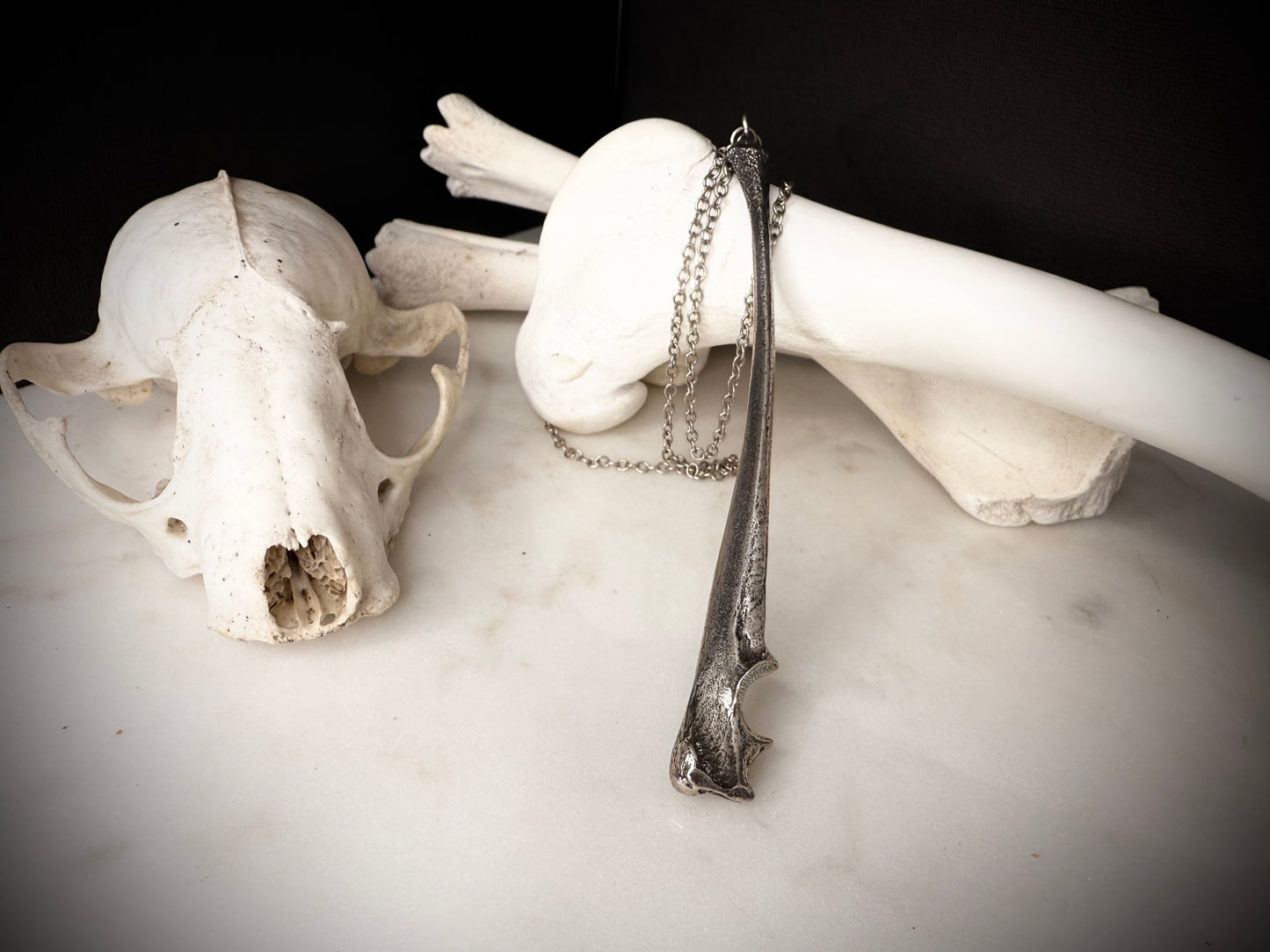 fox ulna necklace