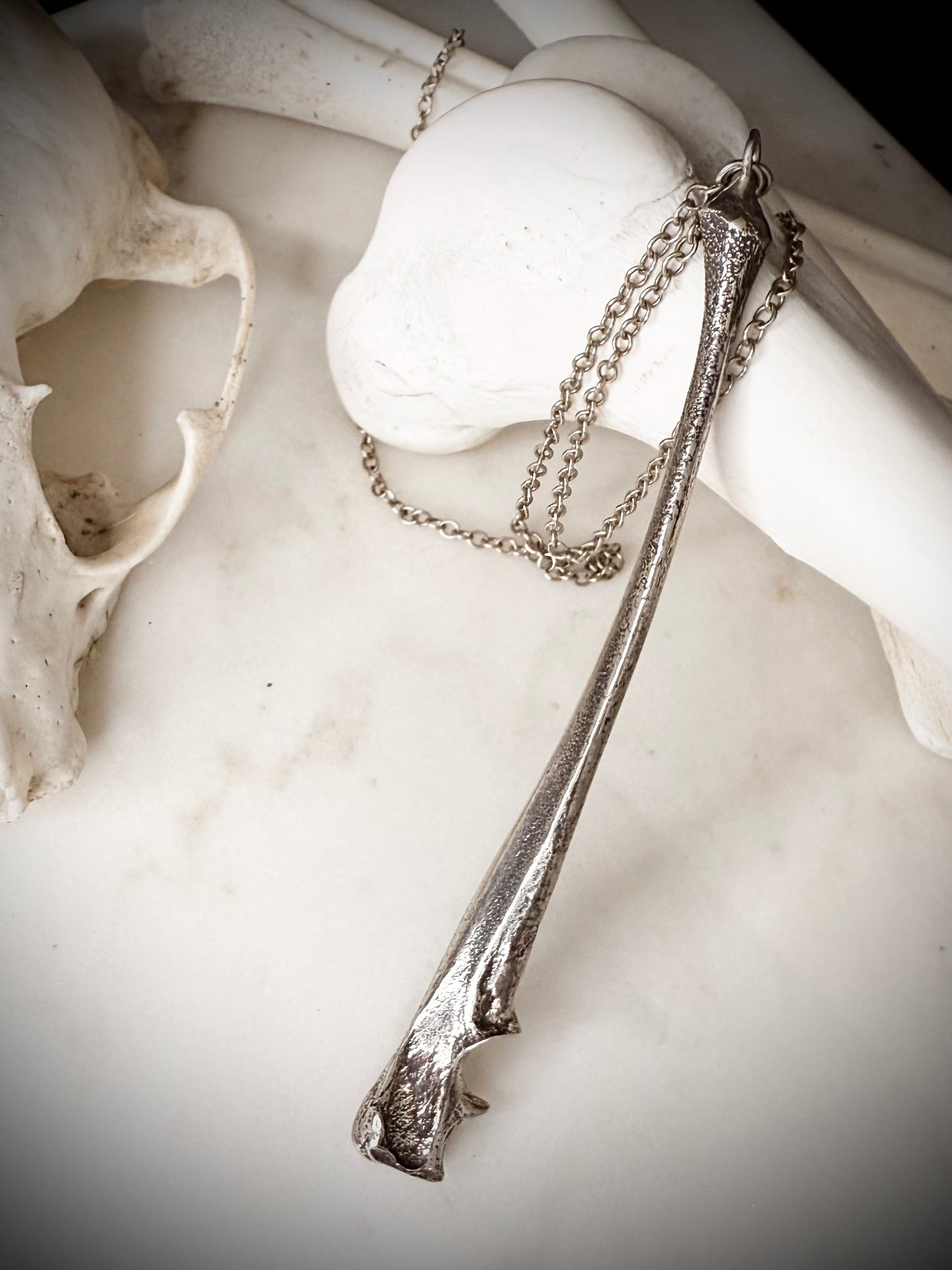 fox ulna necklace