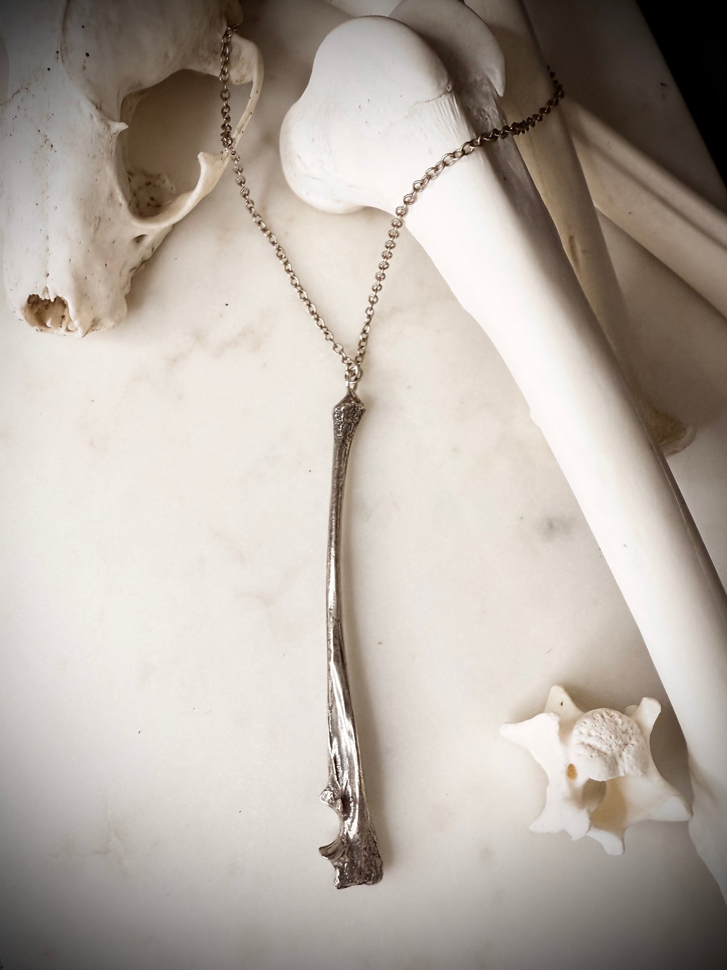fox ulna necklace