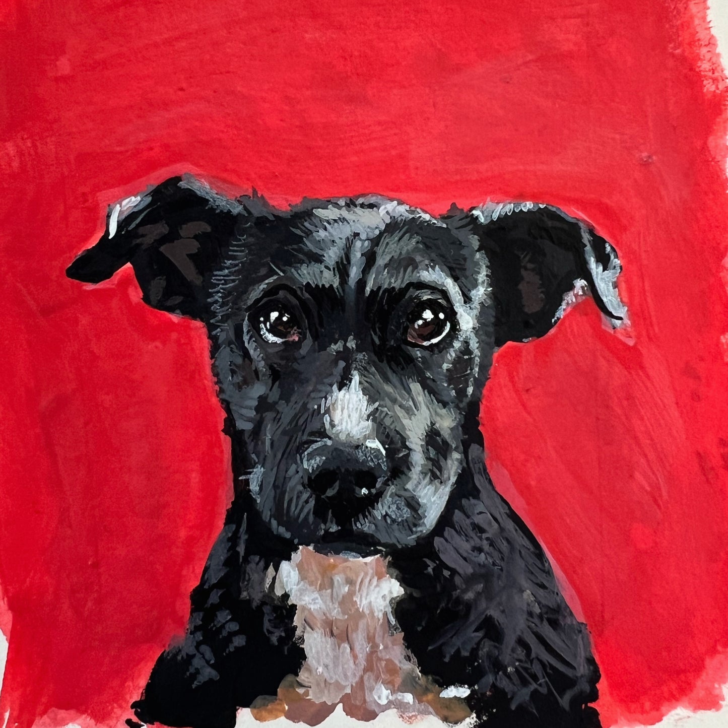 Custom Framed Pet Portrait