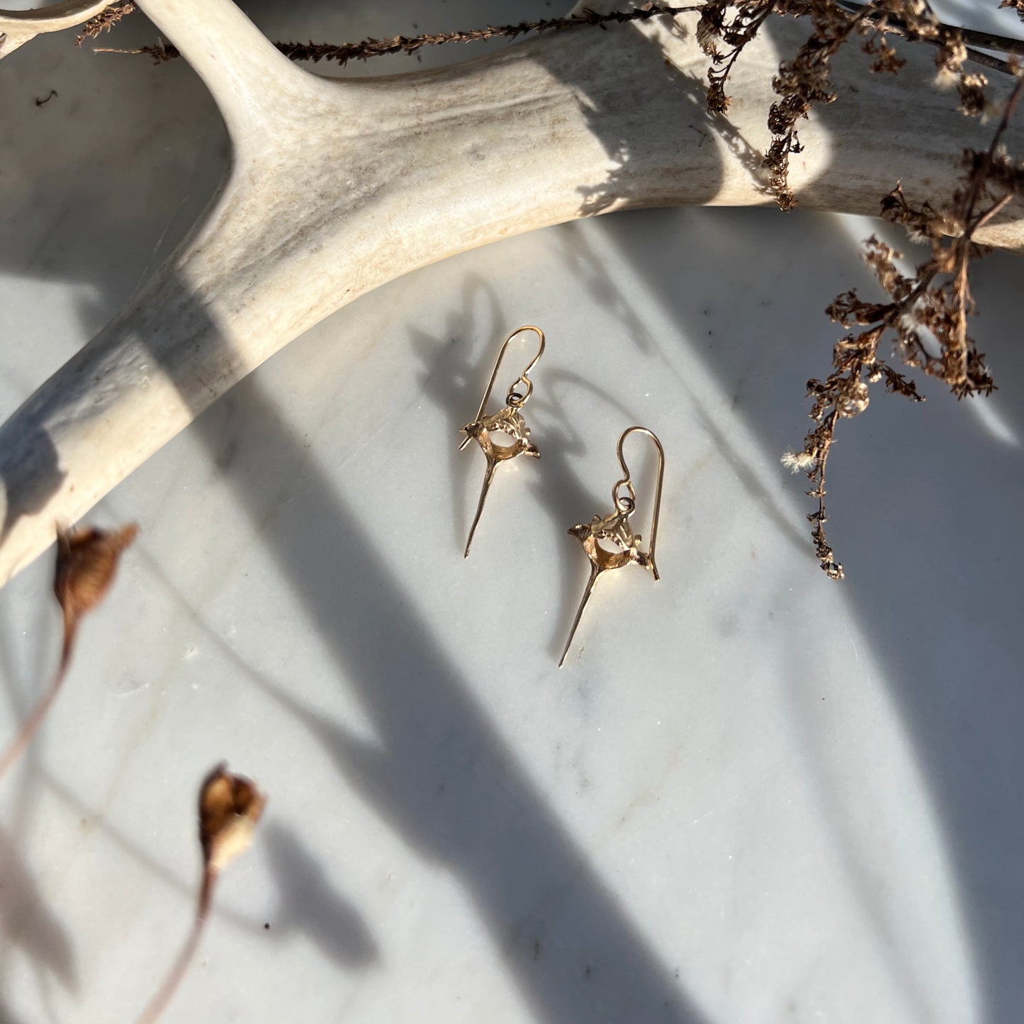 ✷ 14k Gold ✷ squirrel vertebrae earrings