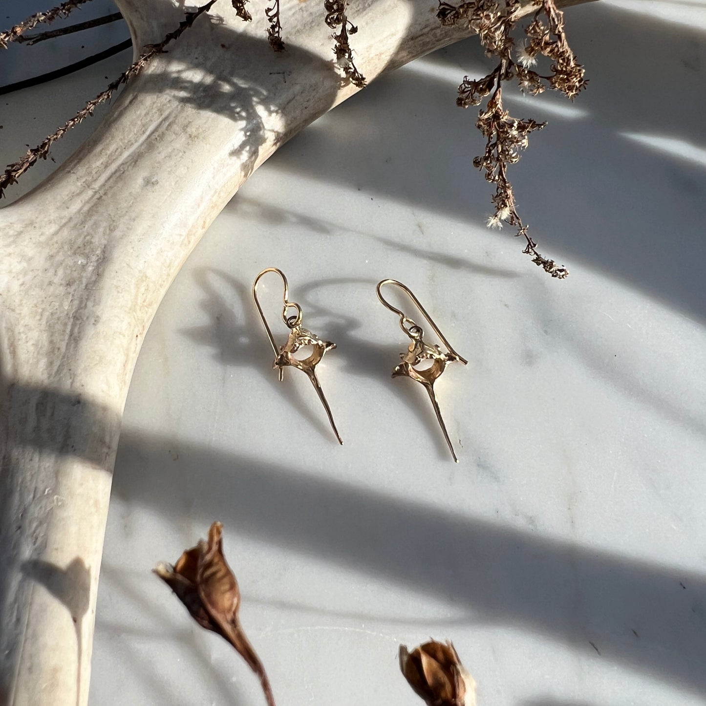 ✷ 14k Gold ✷ squirrel vertebrae earrings