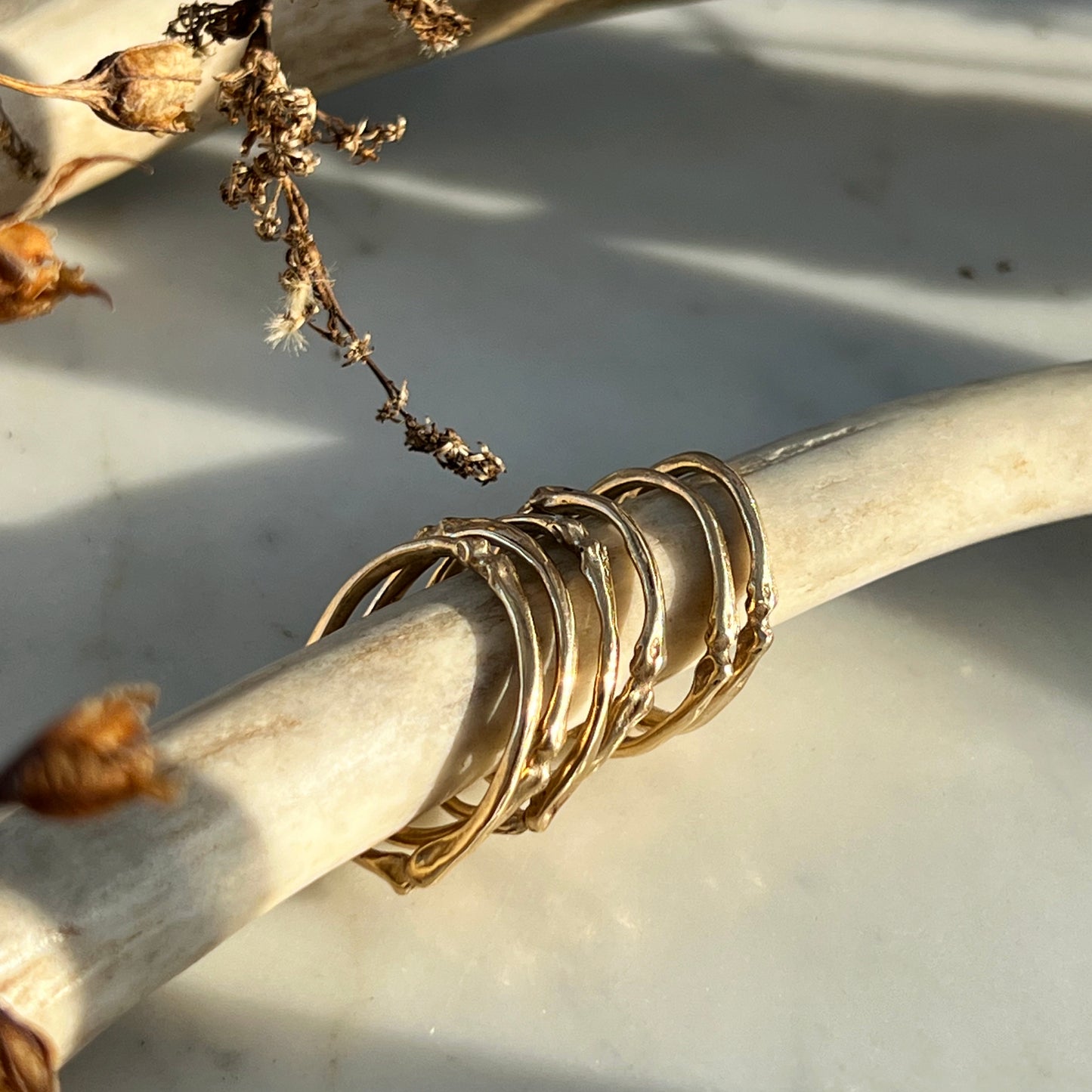 ✷ 14k Gold ✷ Squirrel toe bone ring