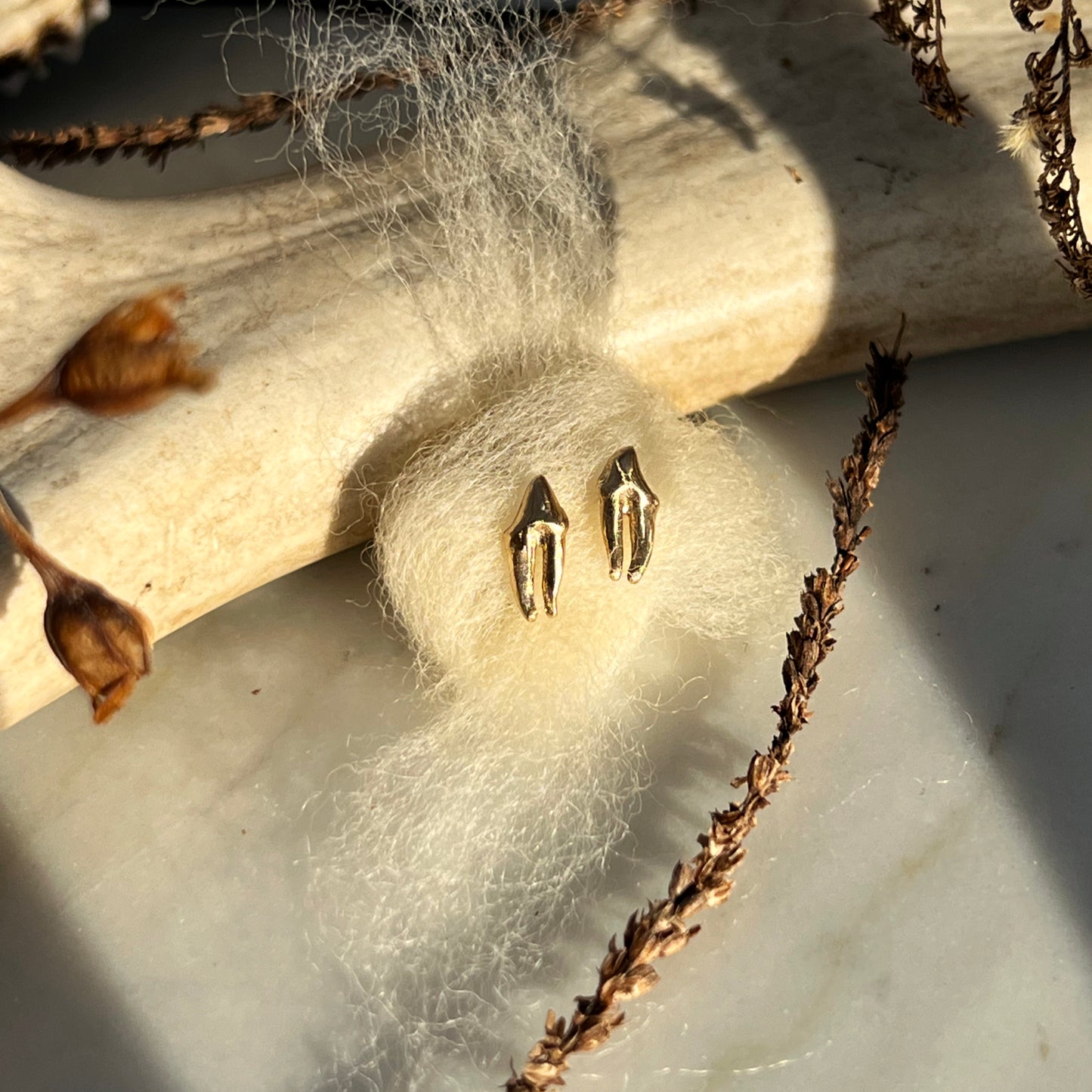 ✷ 14k Gold ✷ Raccoon tooth studs