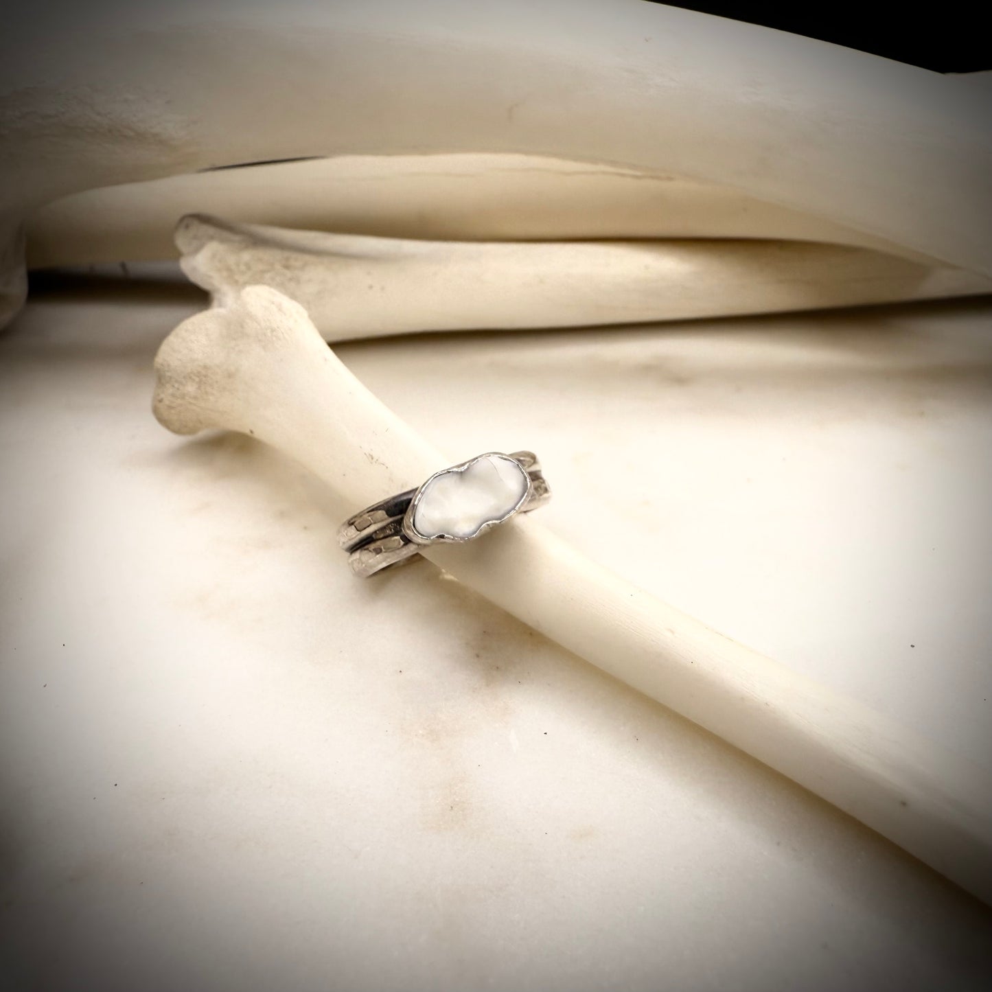 genuine fox oval molar ring double band SIZE 6.5