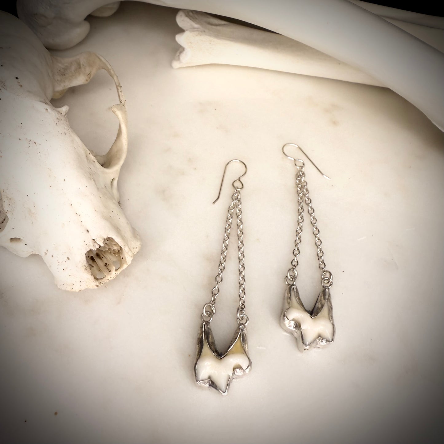 genuine fox molar earrings