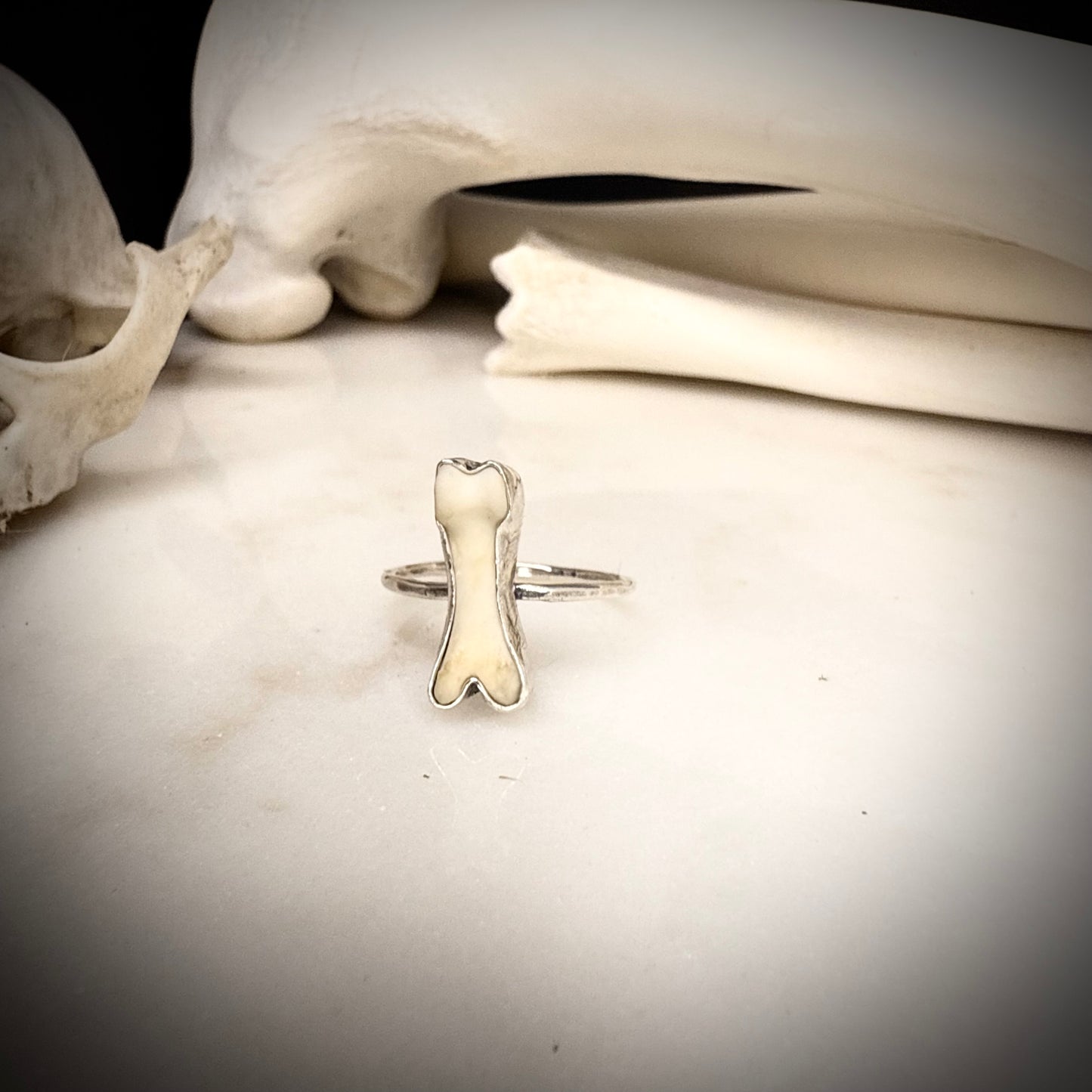 genuine fox toe bone ring