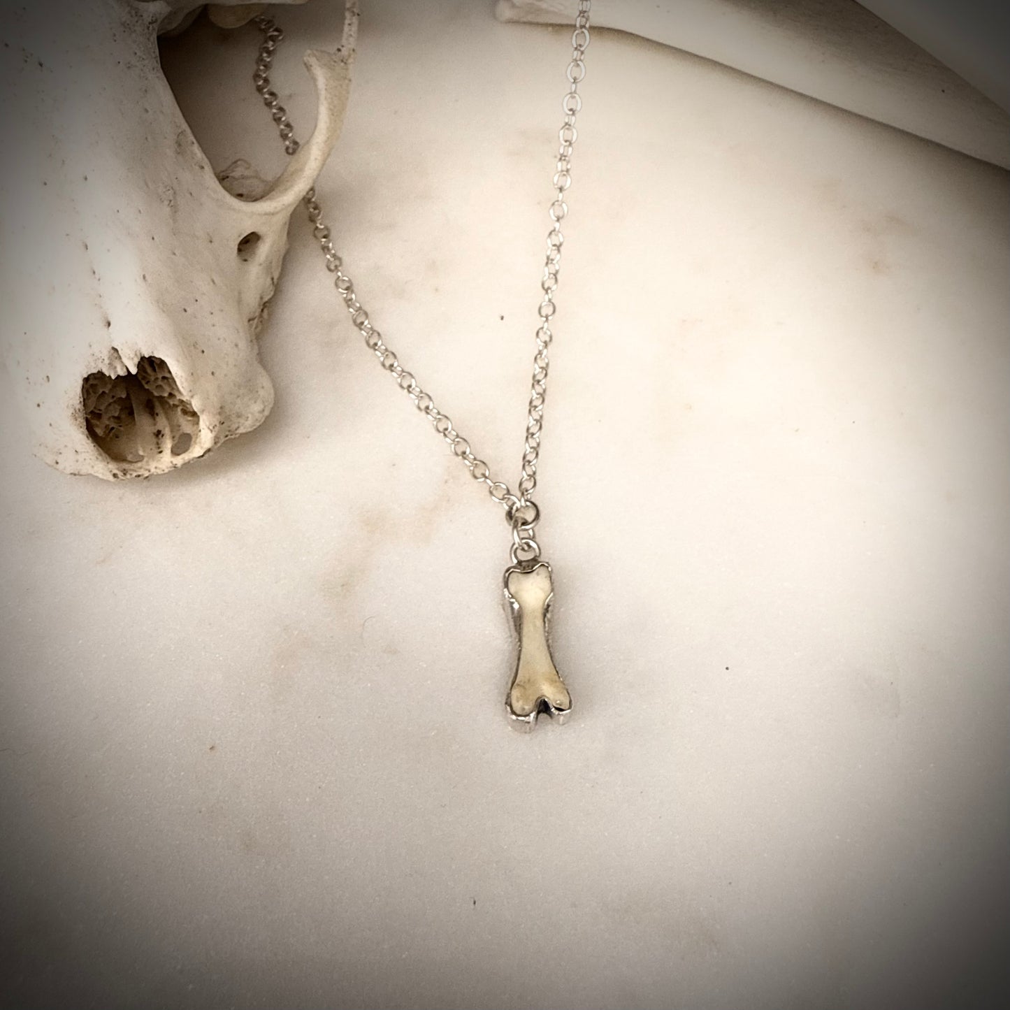Bone charm necklace - long fox toe