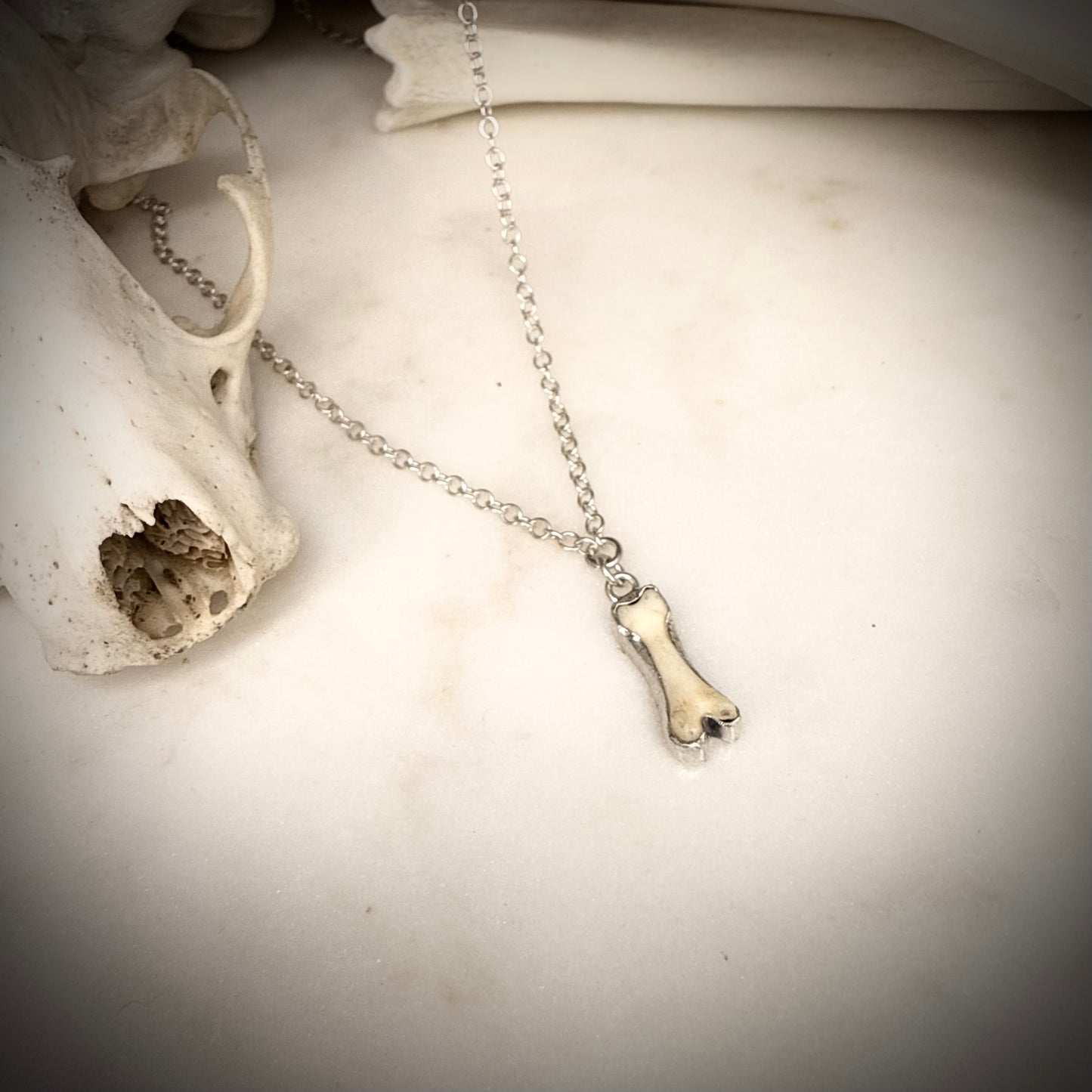 Bone charm necklace - long fox toe