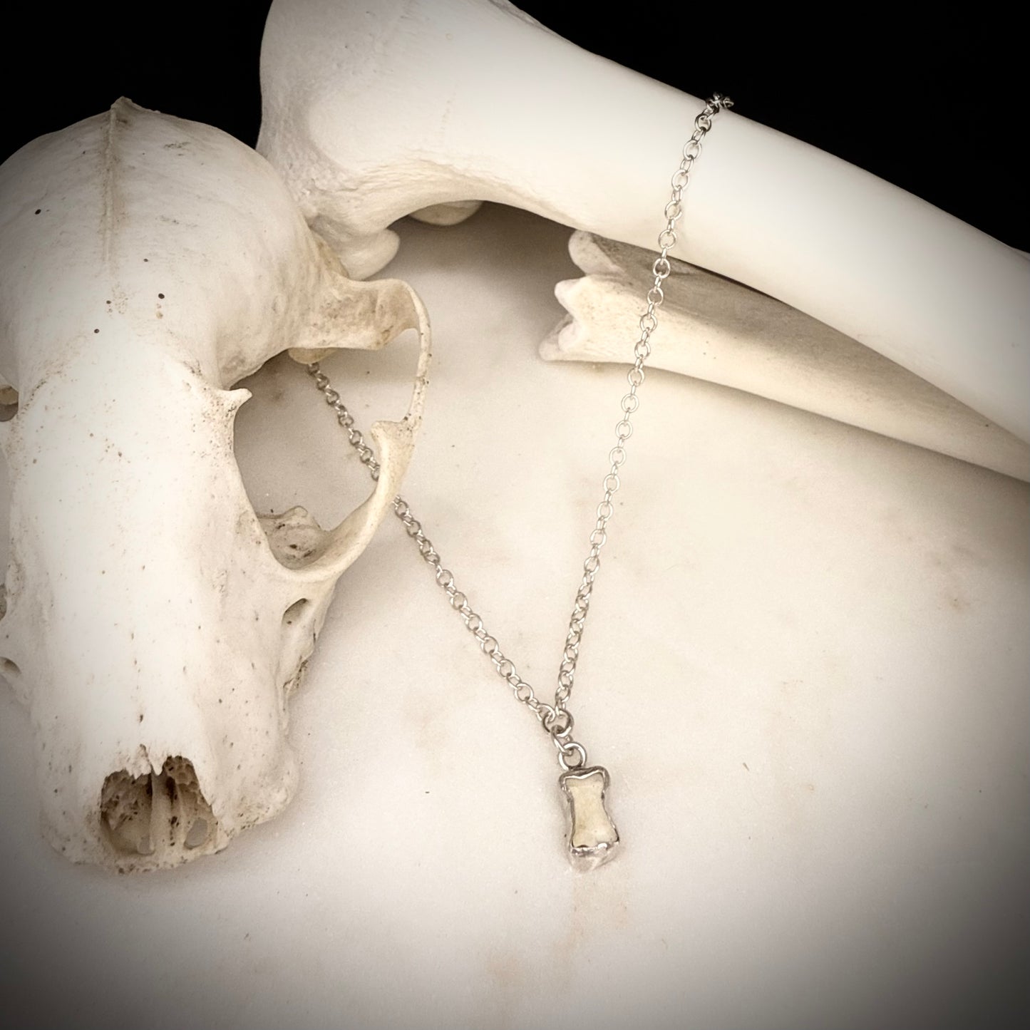 Bone charm necklace - fox toe bone