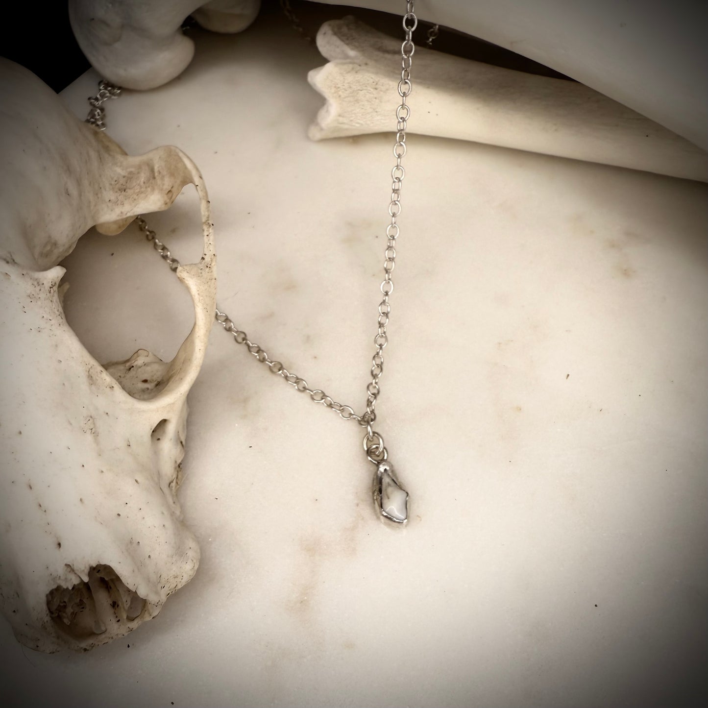 Bone charm necklace - fox premolar