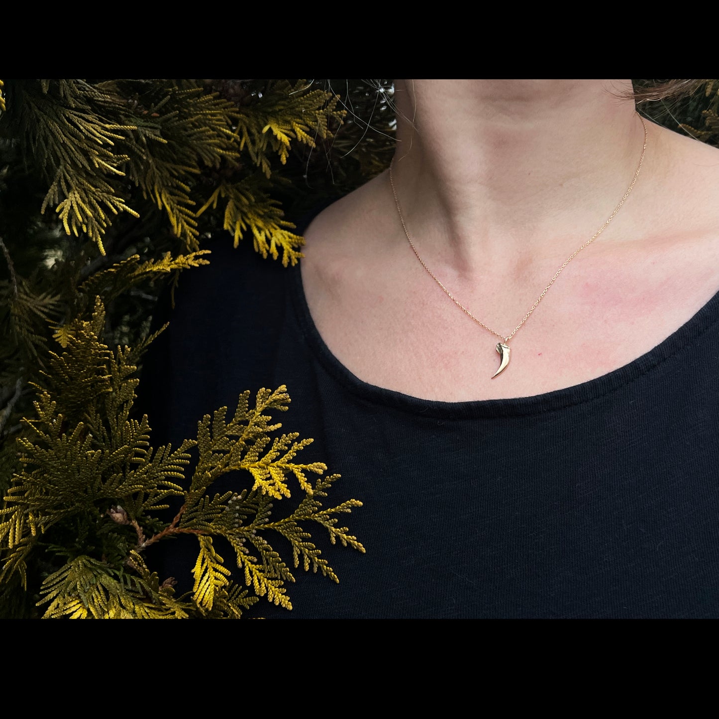 ✷ 14k Gold ✷ Fox claw charm necklace