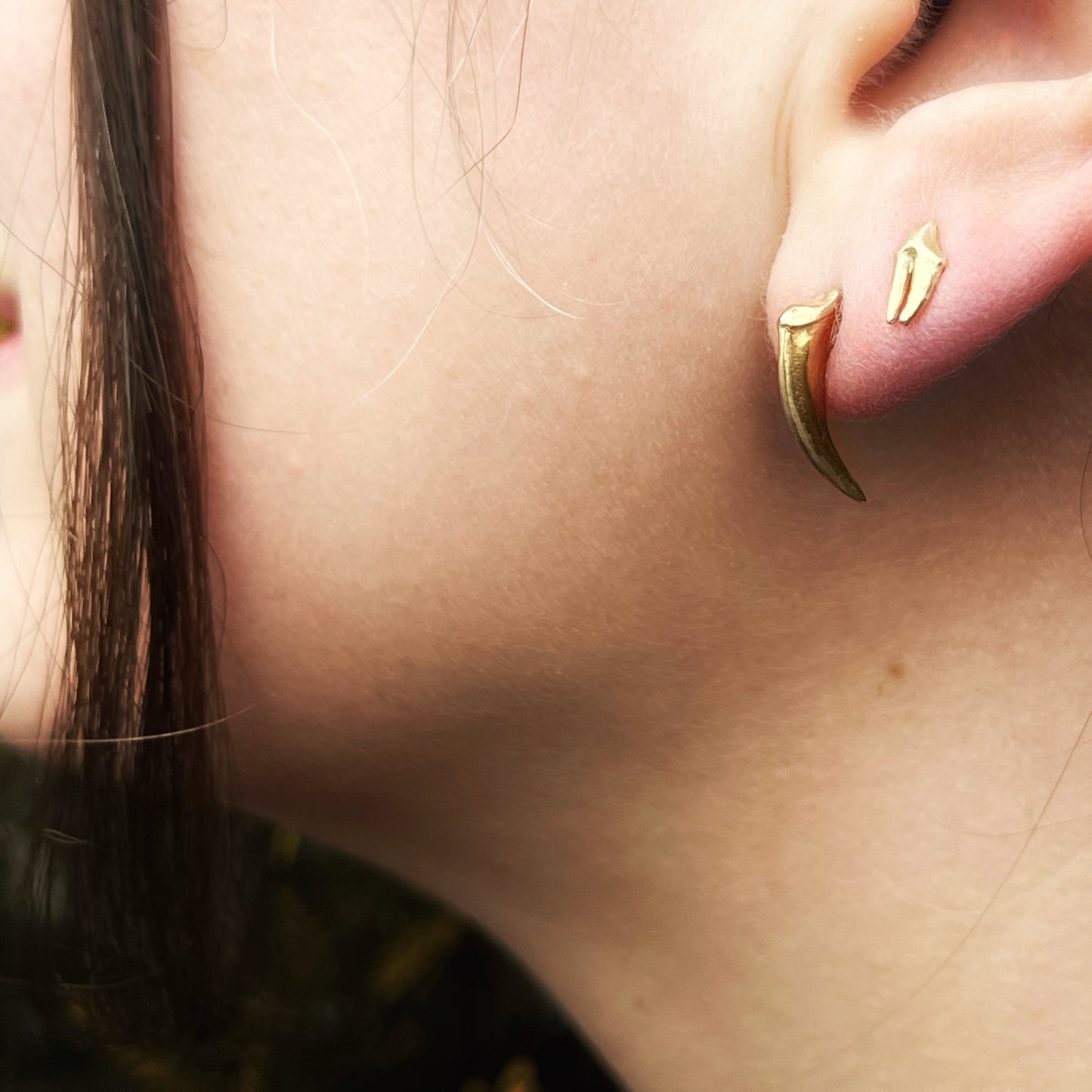 ✷ 14k Gold ✷ Raccoon tooth studs