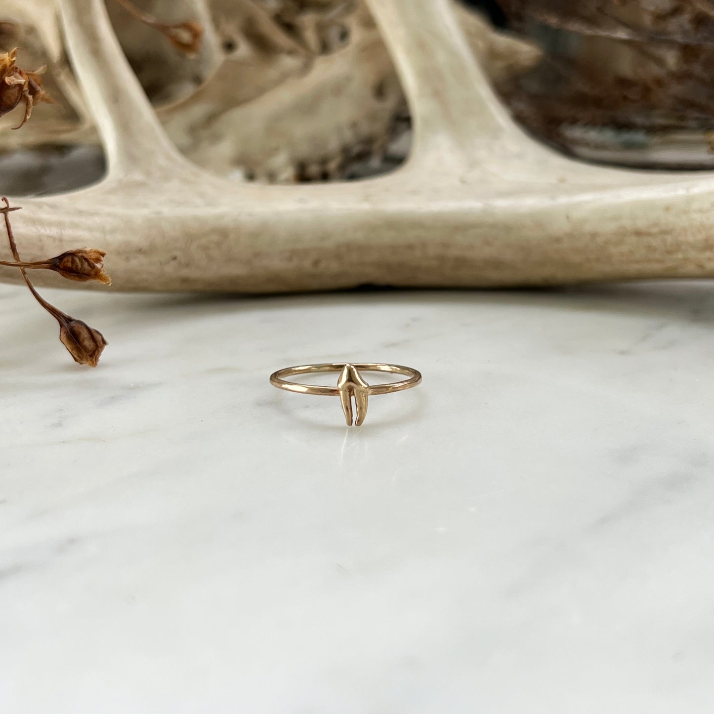 ✷ 14k Gold ✷ Stacking ring with raccoon premolar