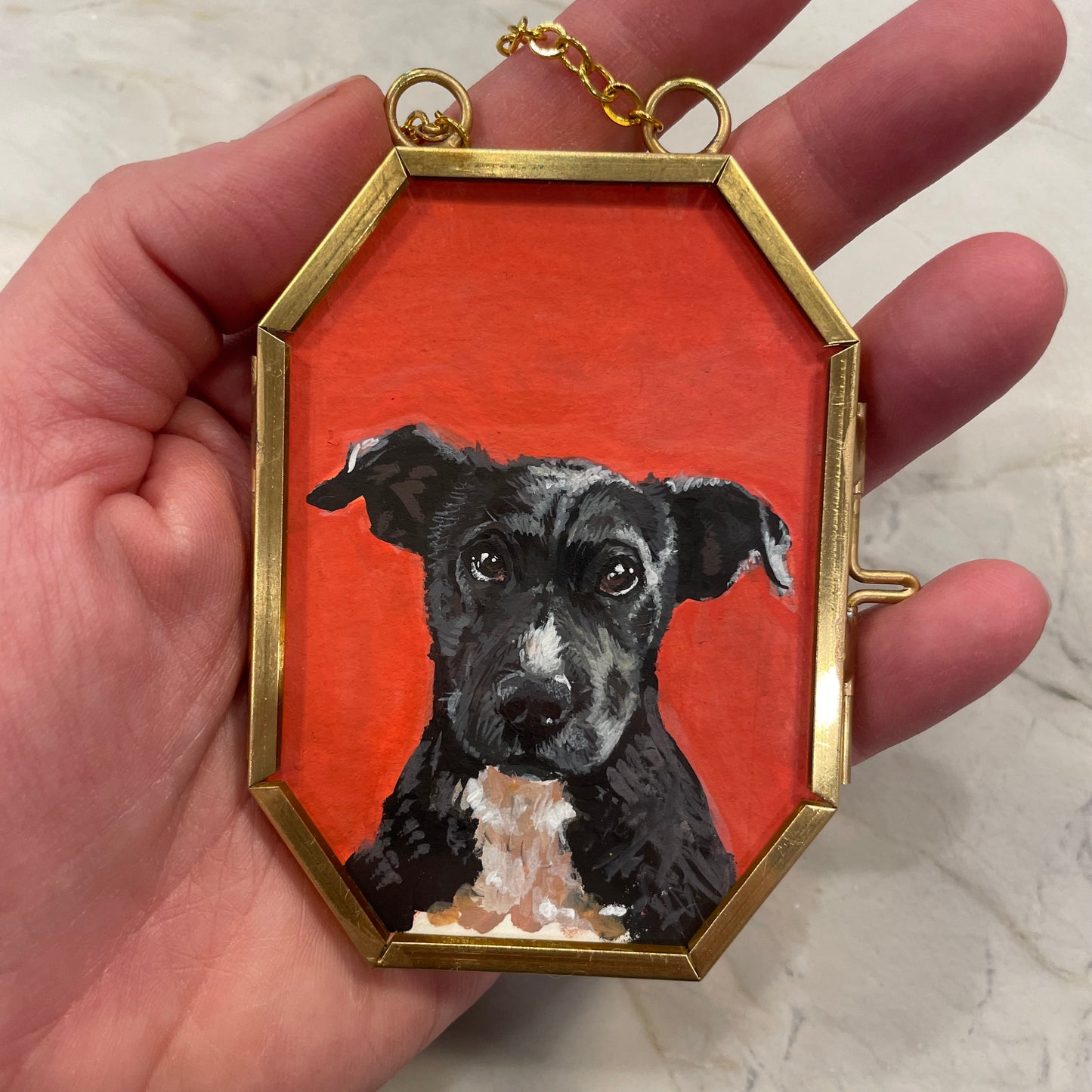 Custom Framed Pet Portrait