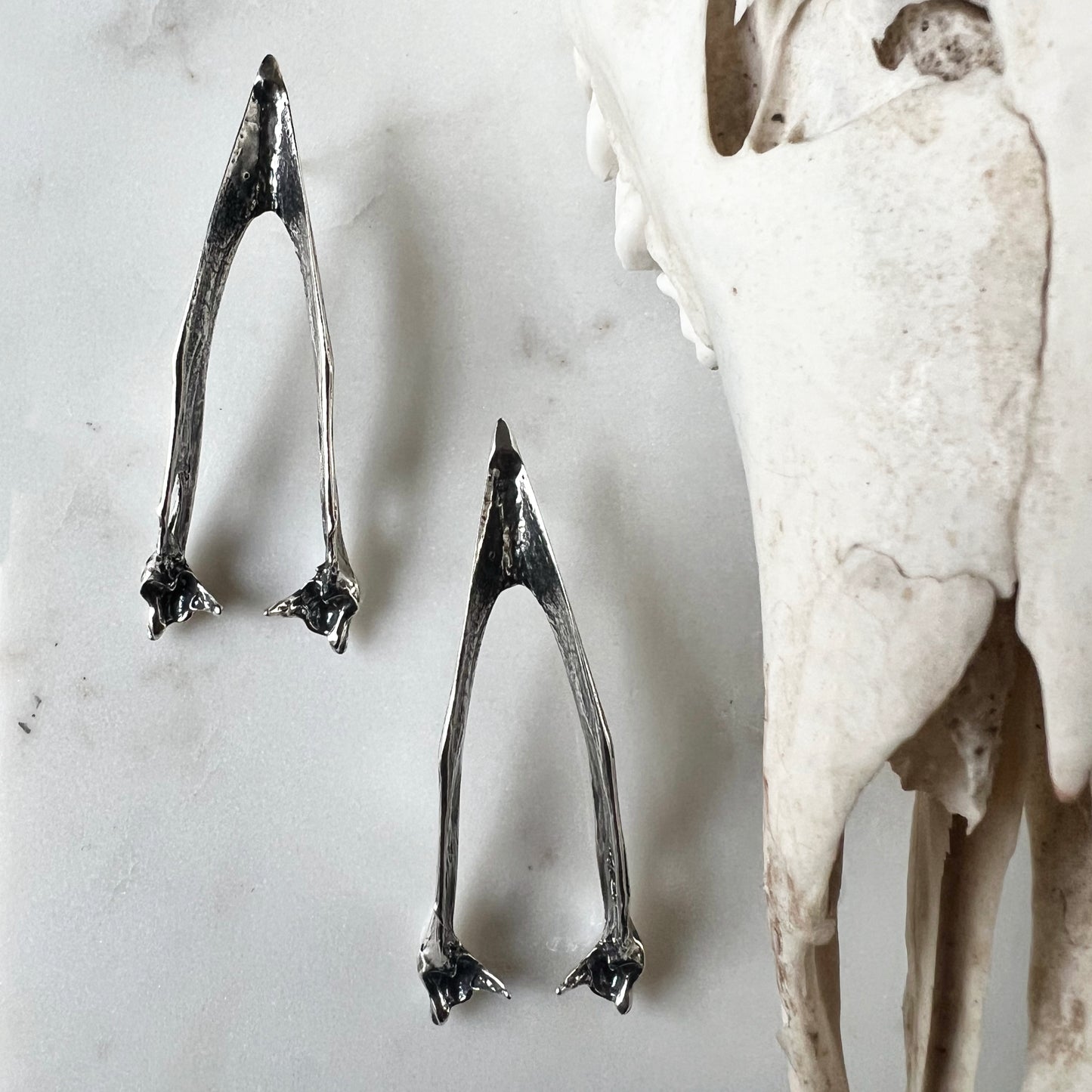 Crow Mandible Earrings