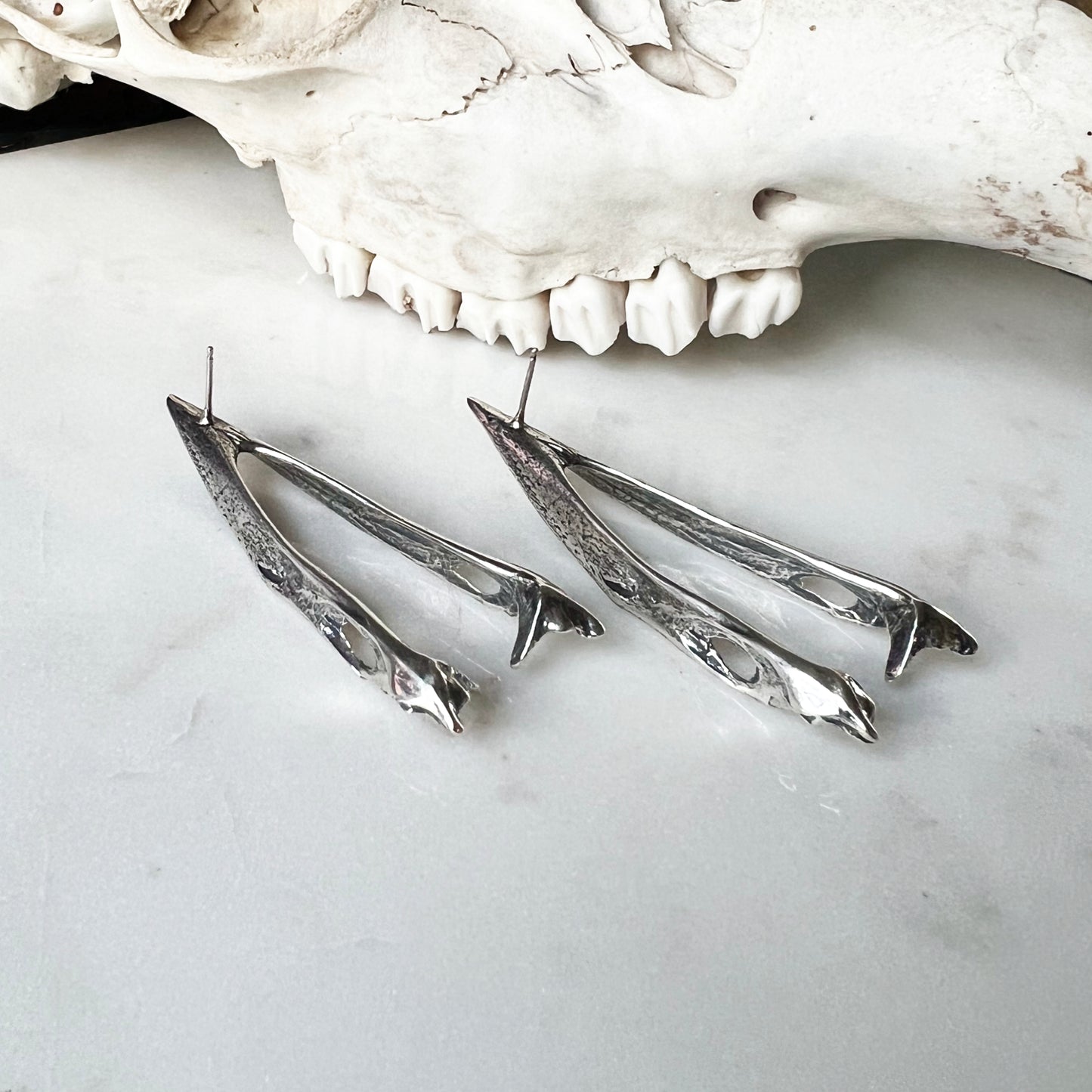 Crow Mandible Earrings