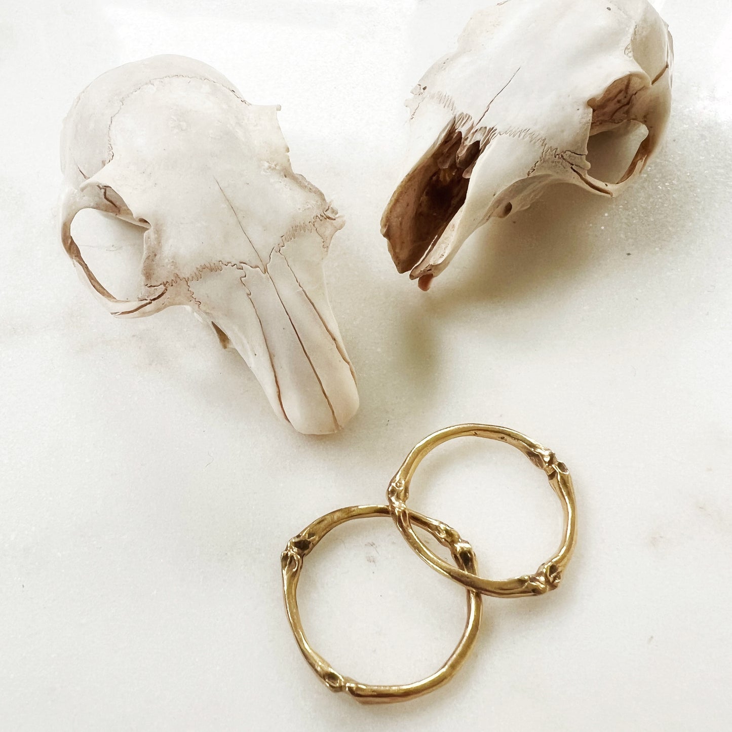 22k solid gold squirrel toe bone ring