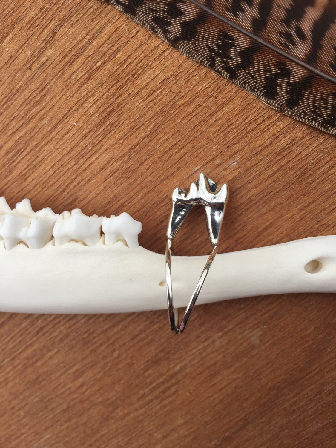 Double band fox molar ring