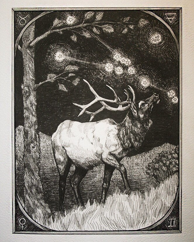 Taurus limited edition print
