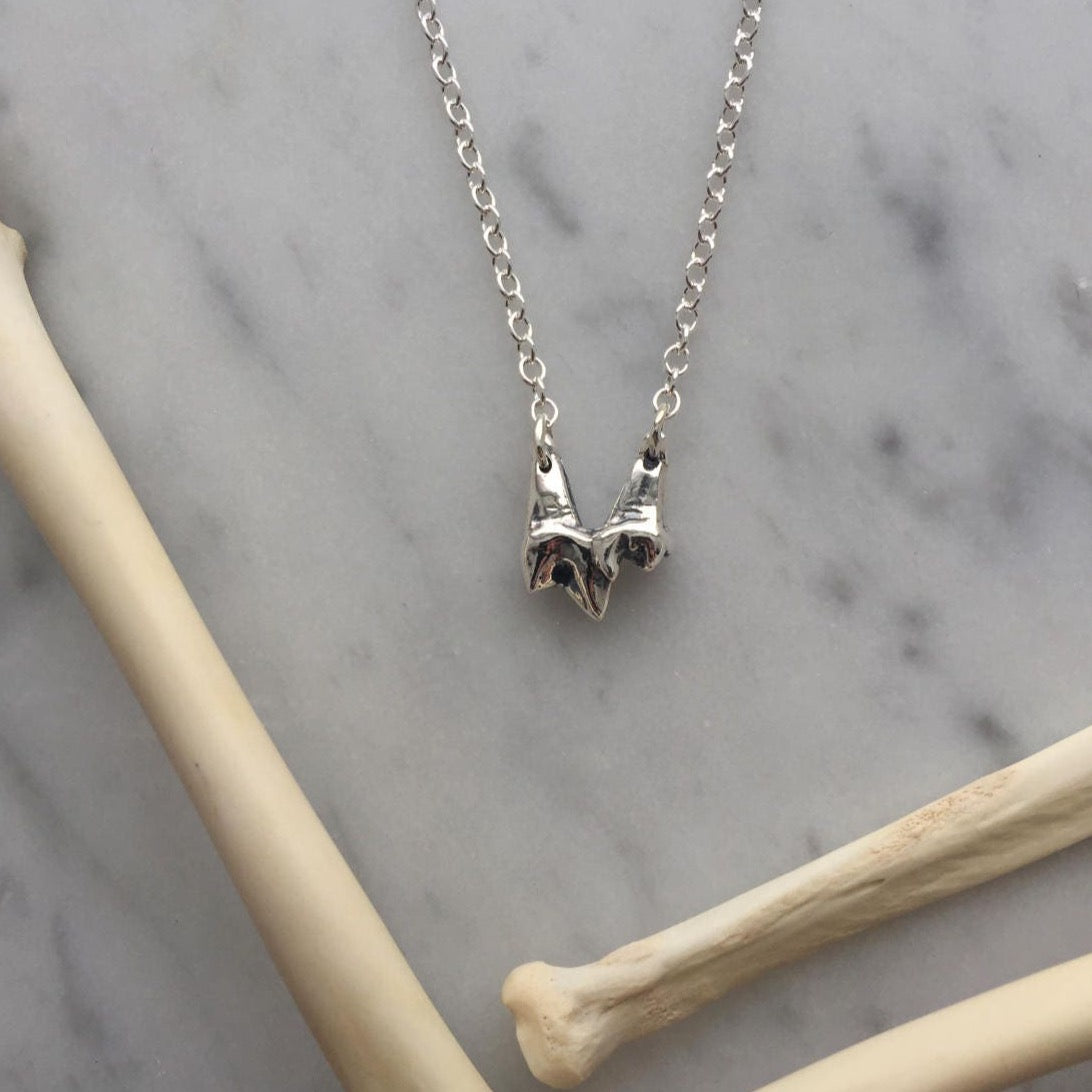 fox tooth necklace