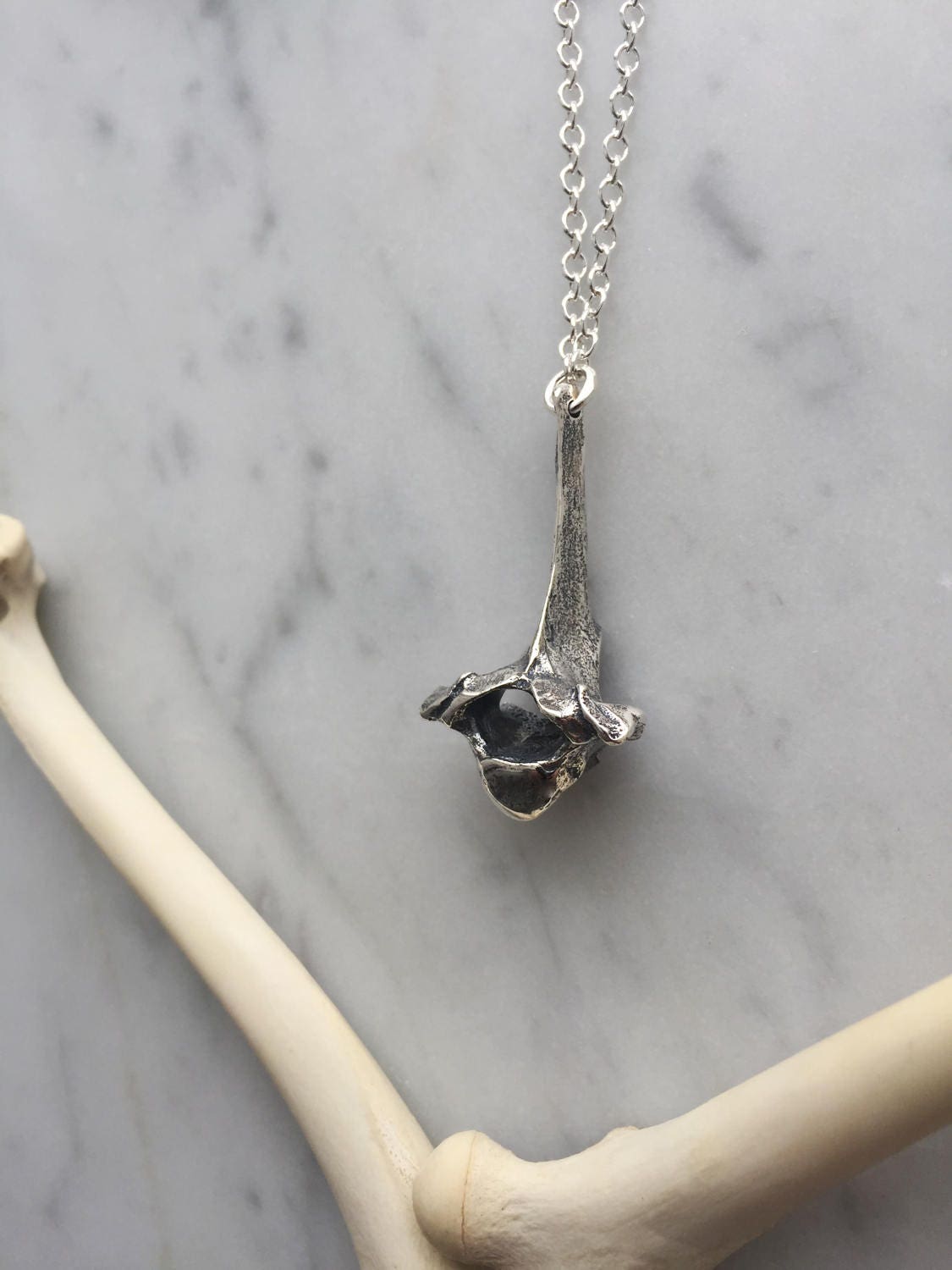 fox vertebrae necklace