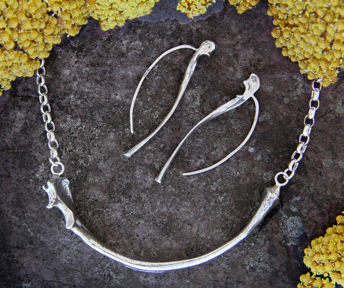 Fox Ulna Necklace on rollo chain
