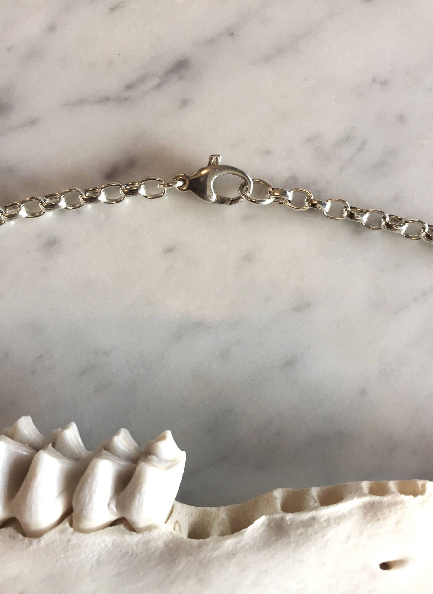 Fox Ulna Necklace on rollo chain