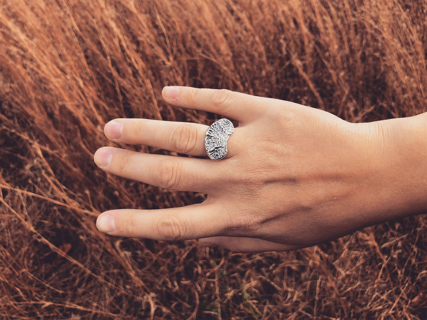 deer flat vertebral epiphysis ring