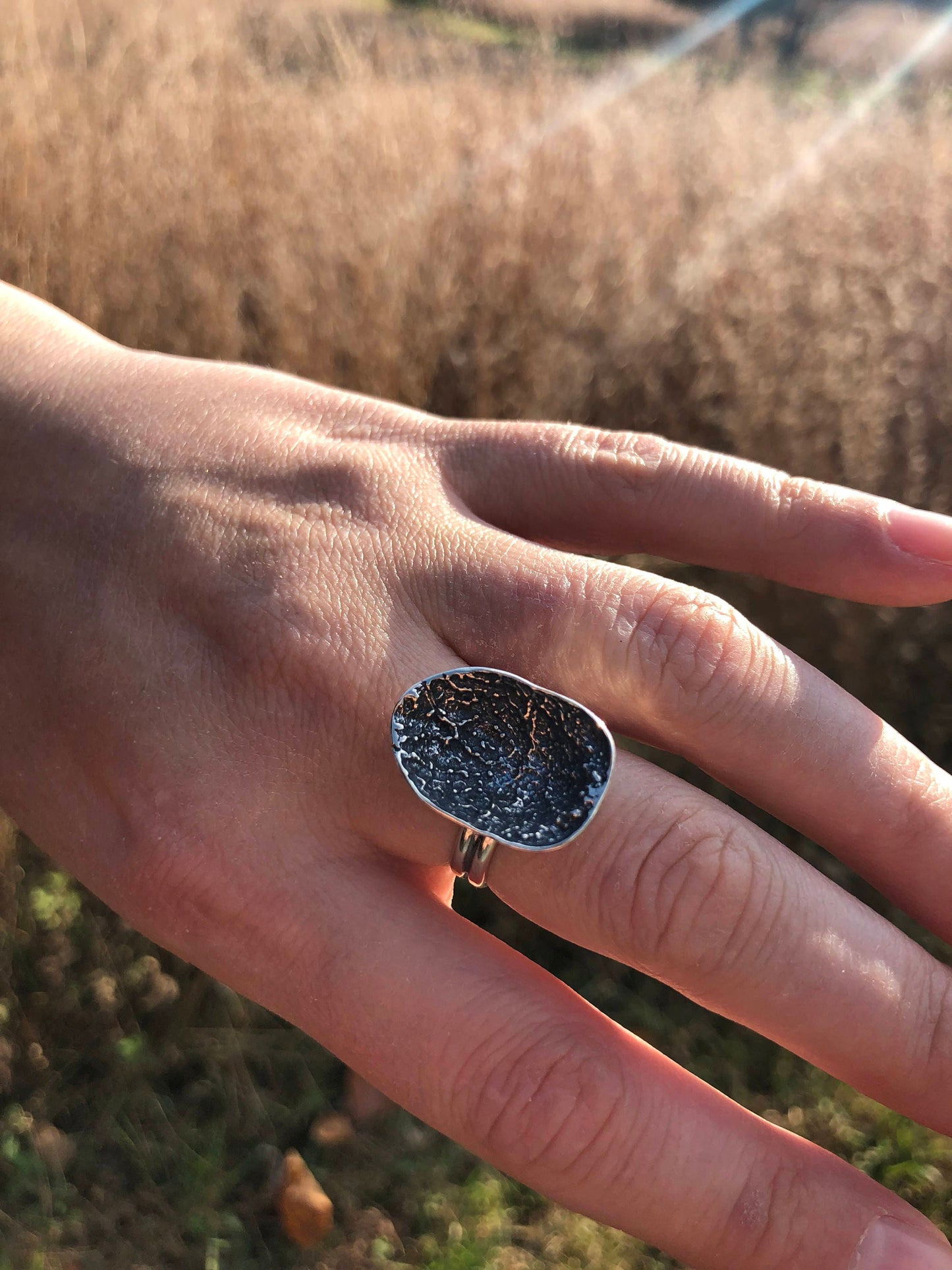 Deer vertebral epiphysis ring (7/8")