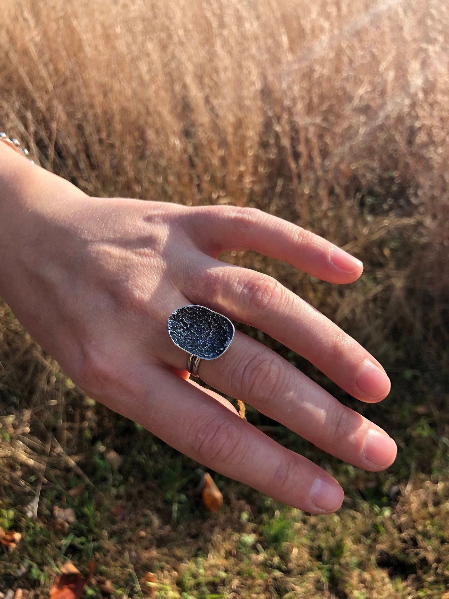 Deer vertebral epiphysis ring (7/8")