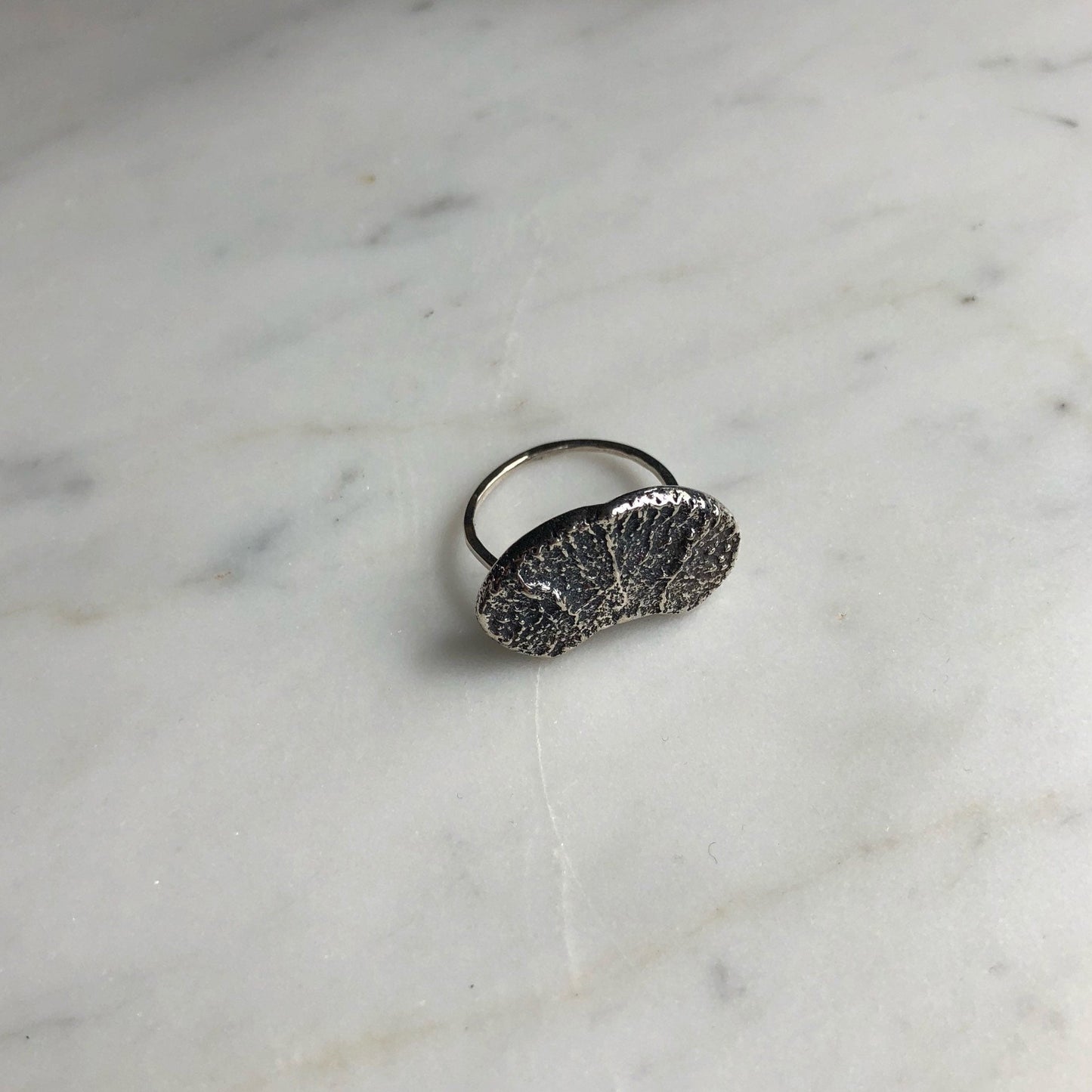 deer flat vertebral epiphysis ring