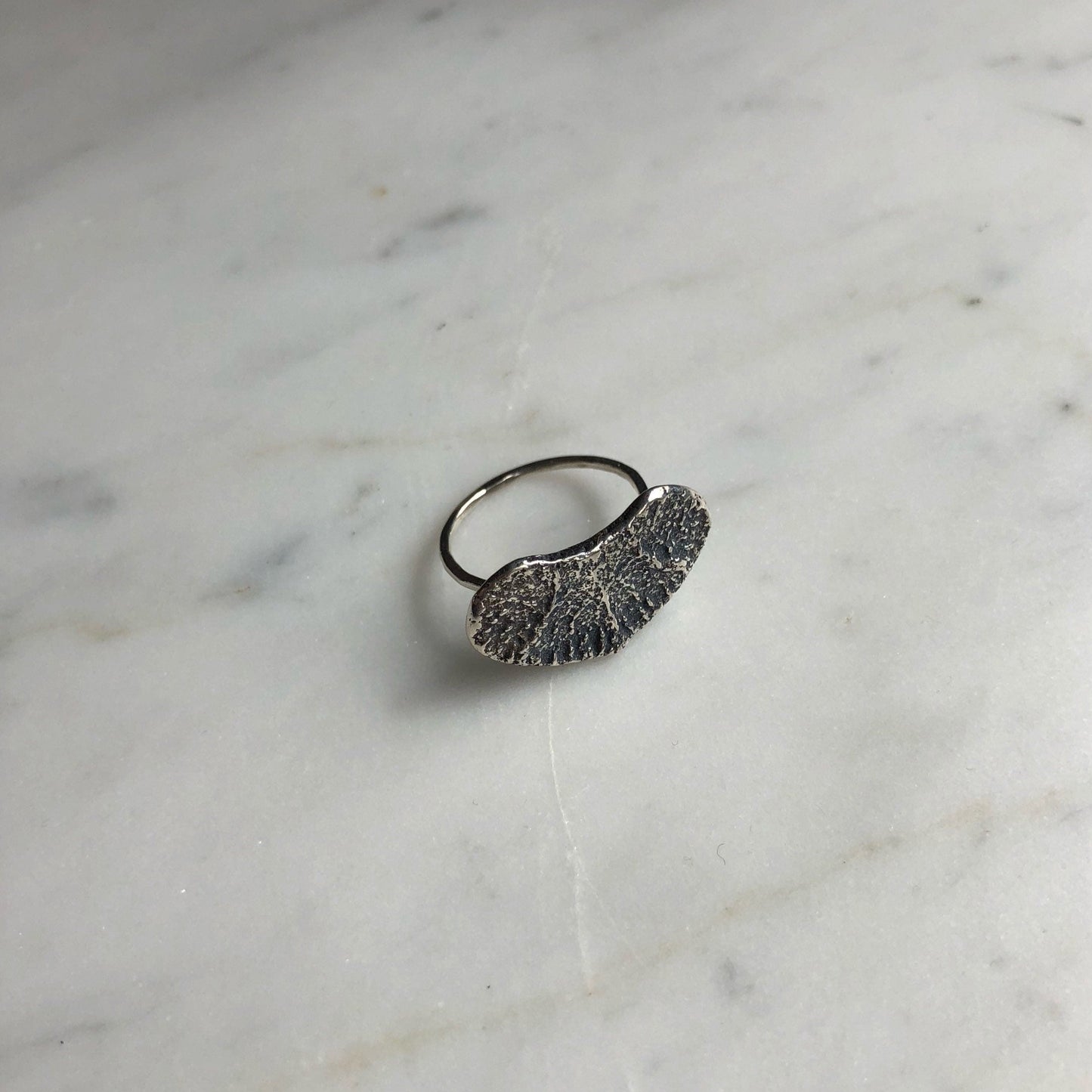 deer flat vertebral epiphysis ring