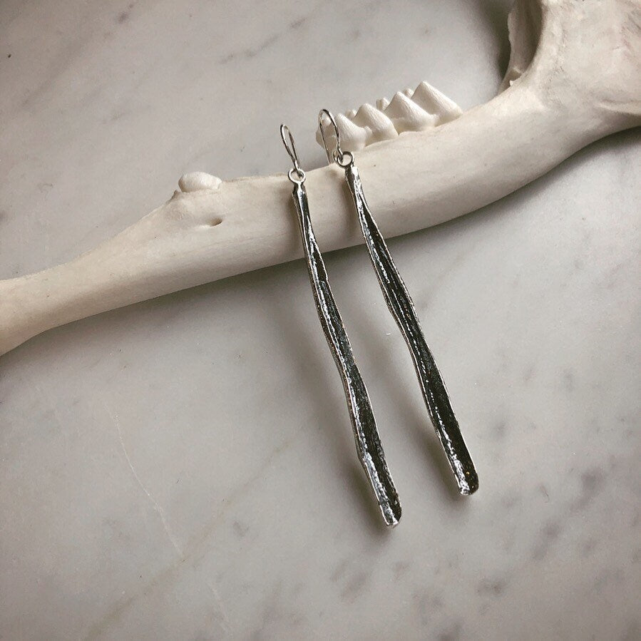 Coyote Baculum earrings