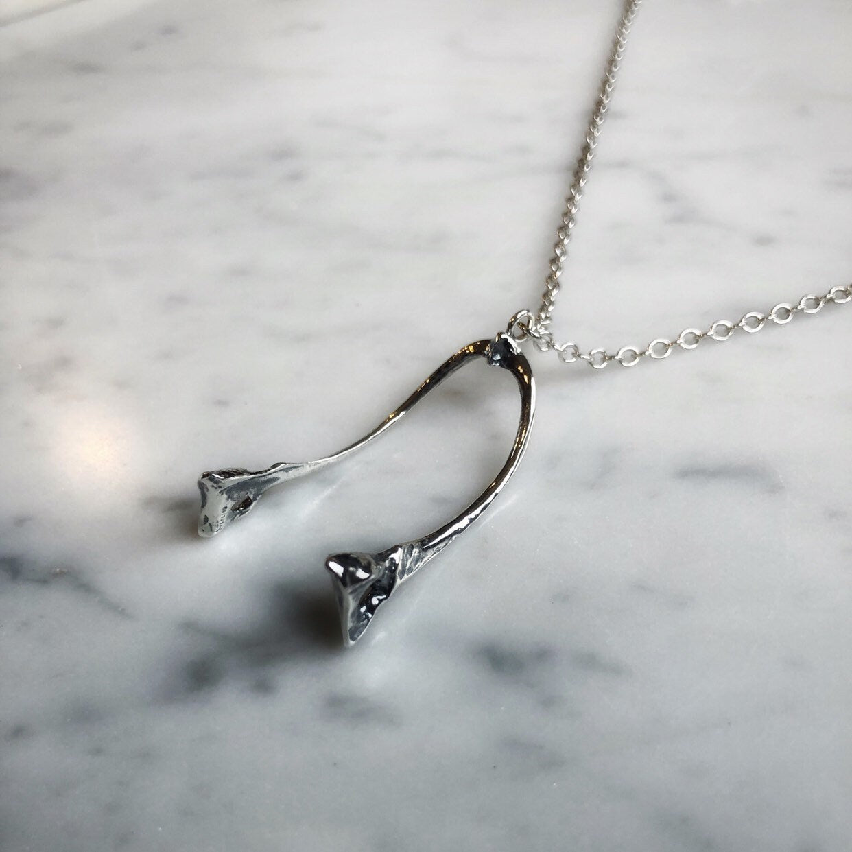 Crow wishbone necklace
