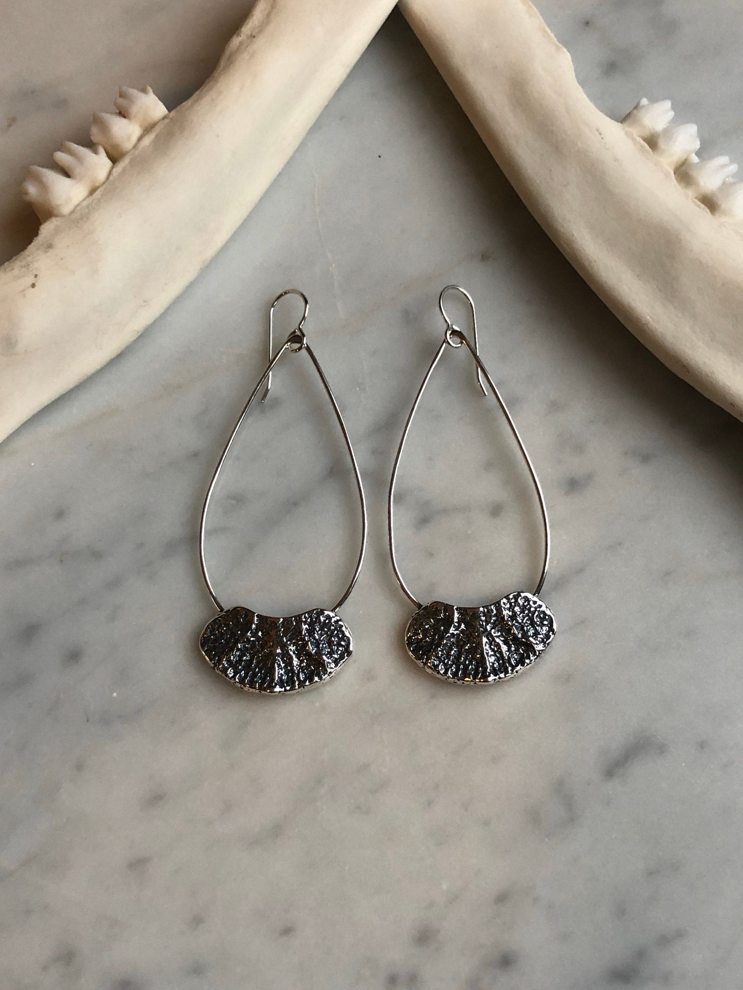 Deer vertebral epiphysis on tear drop hoops