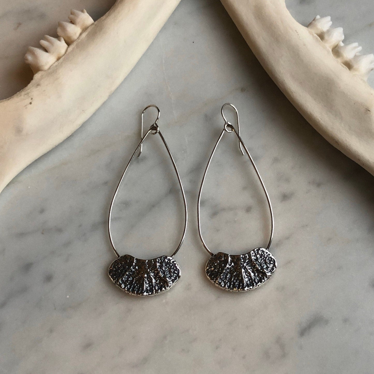Deer vertebral epiphysis on tear drop hoops