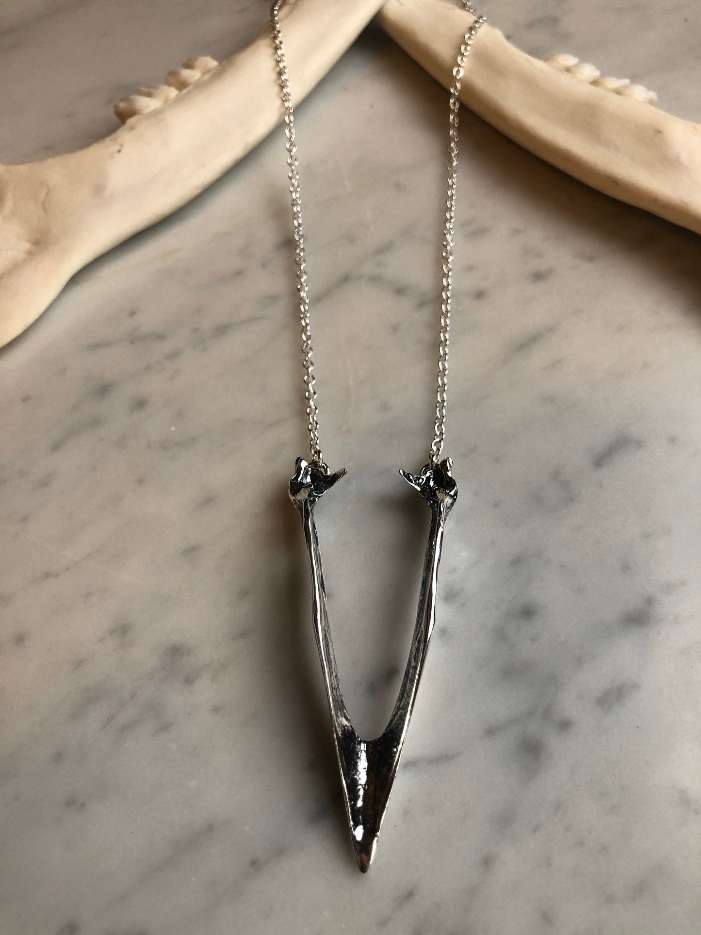 Crow mandible necklace