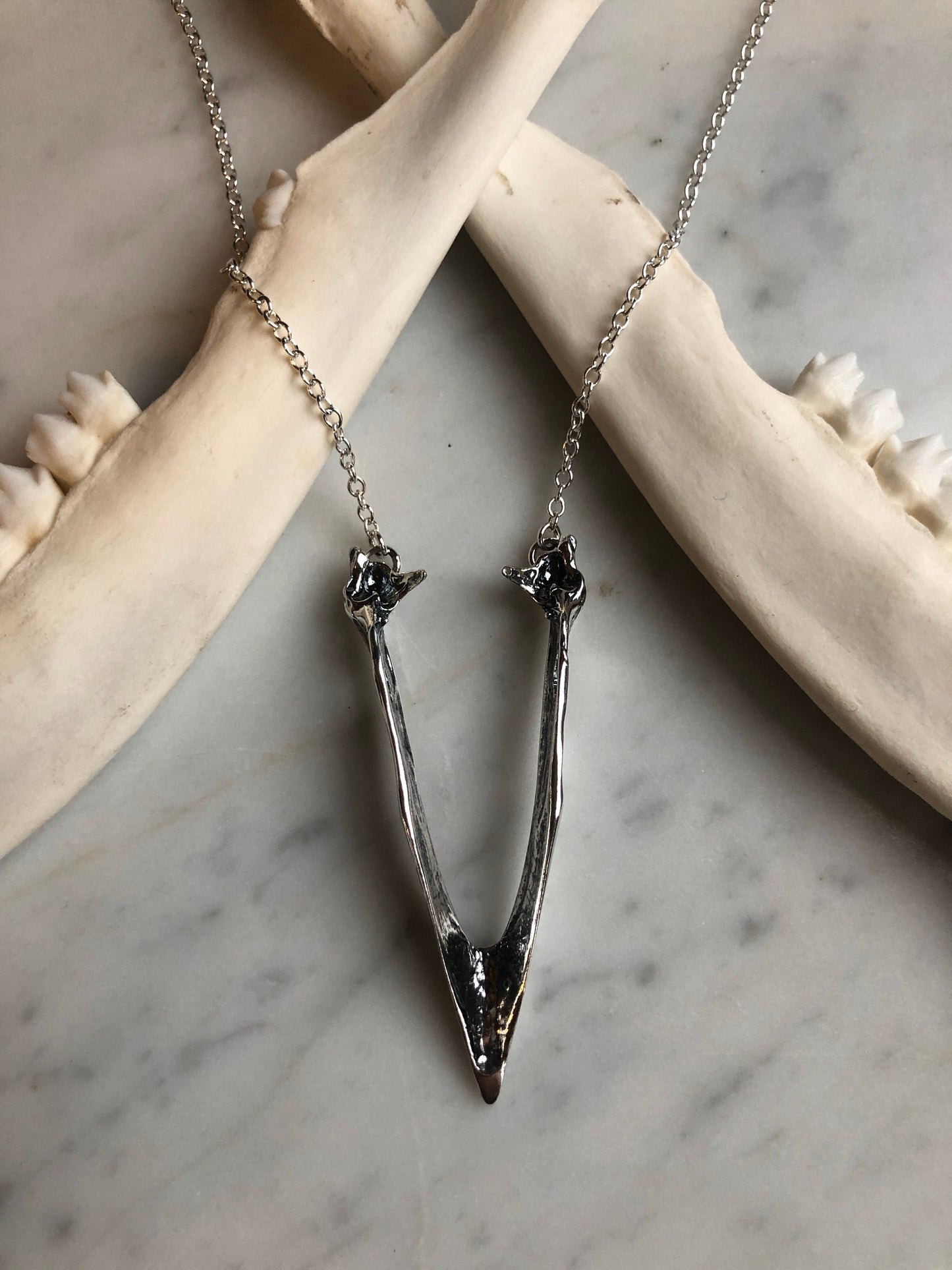 Crow mandible necklace
