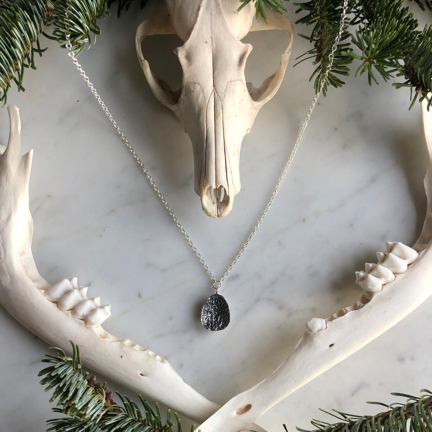 deer vertebral epiphysis necklace (3/4" cupped)