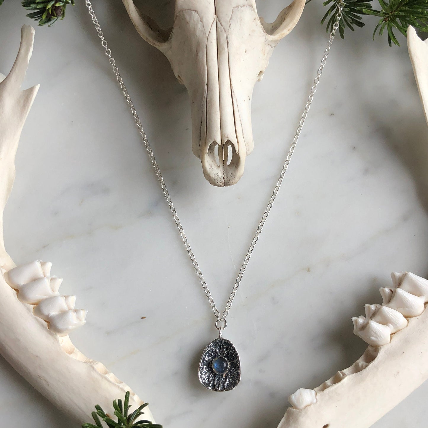 deer vertebral epiphysis necklace (3/4" cupped) with Labradorite