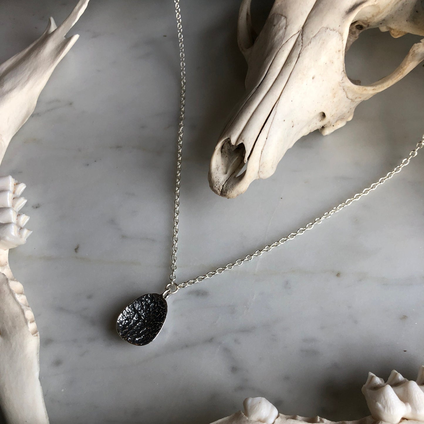 deer vertebral epiphysis necklace (3/4" cupped)
