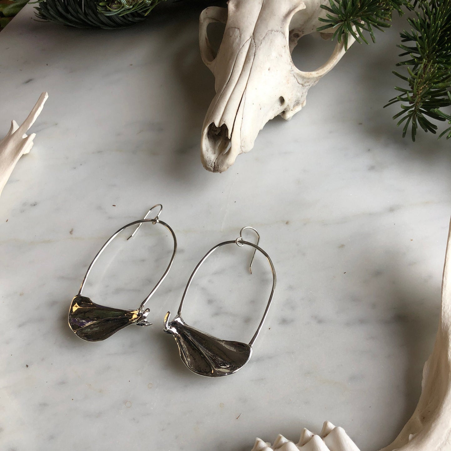 squirrel scapula earrings