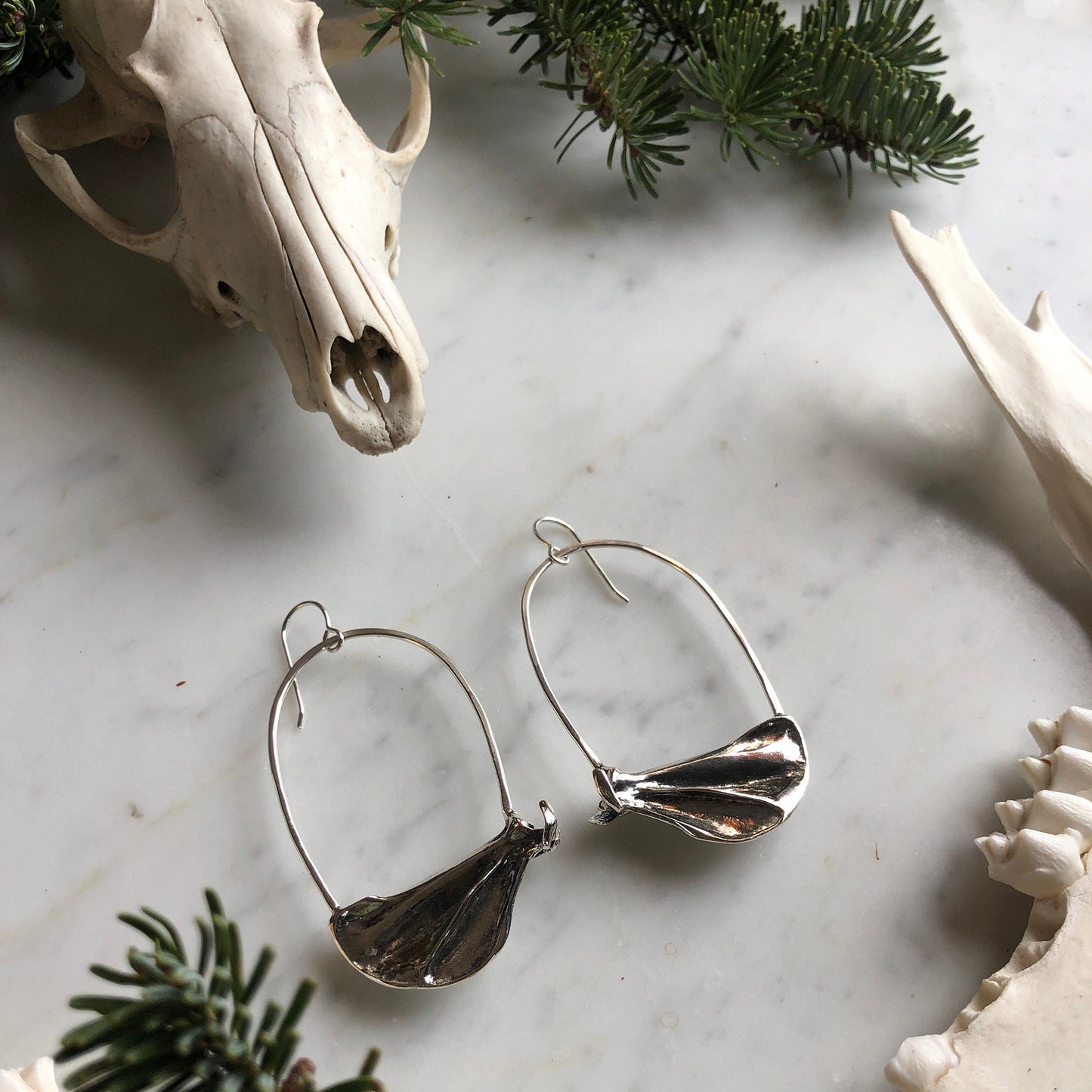 squirrel scapula earrings