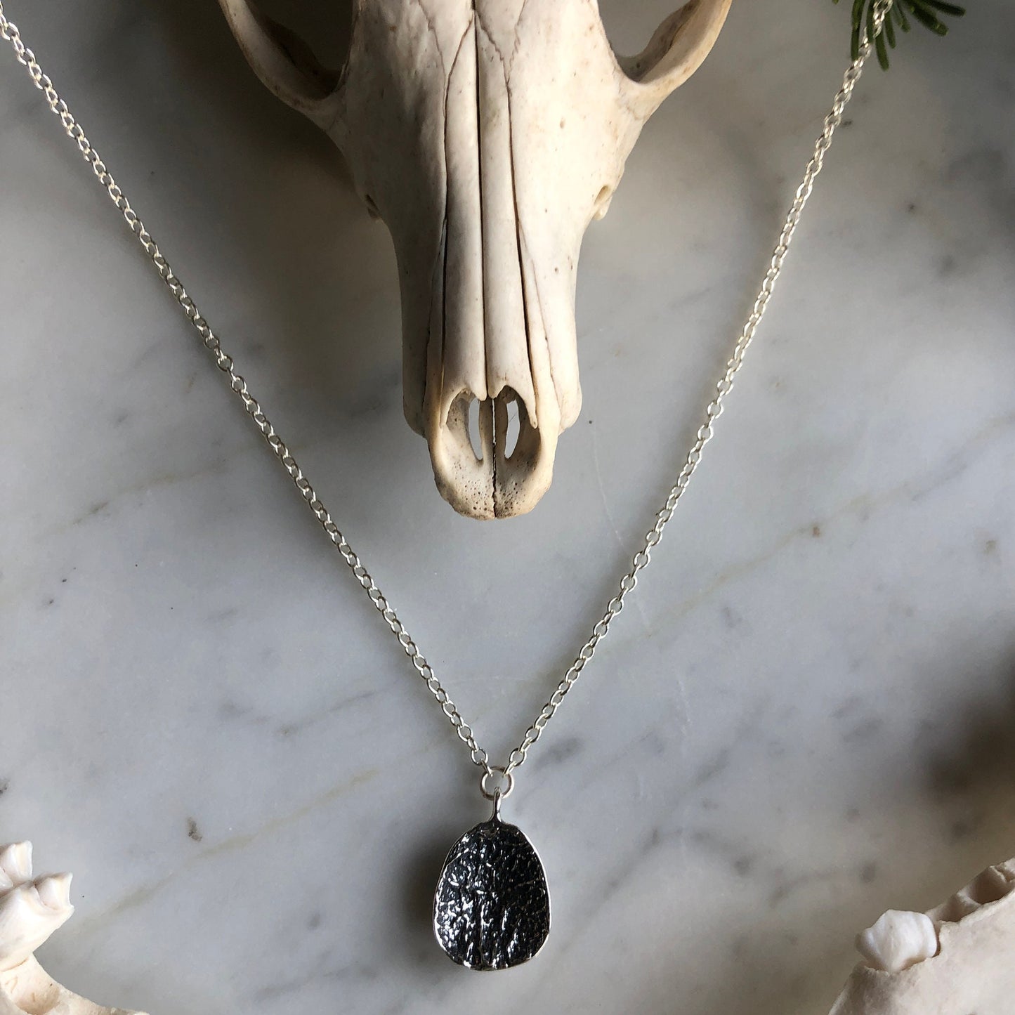 deer vertebral epiphysis necklace (3/4" cupped)