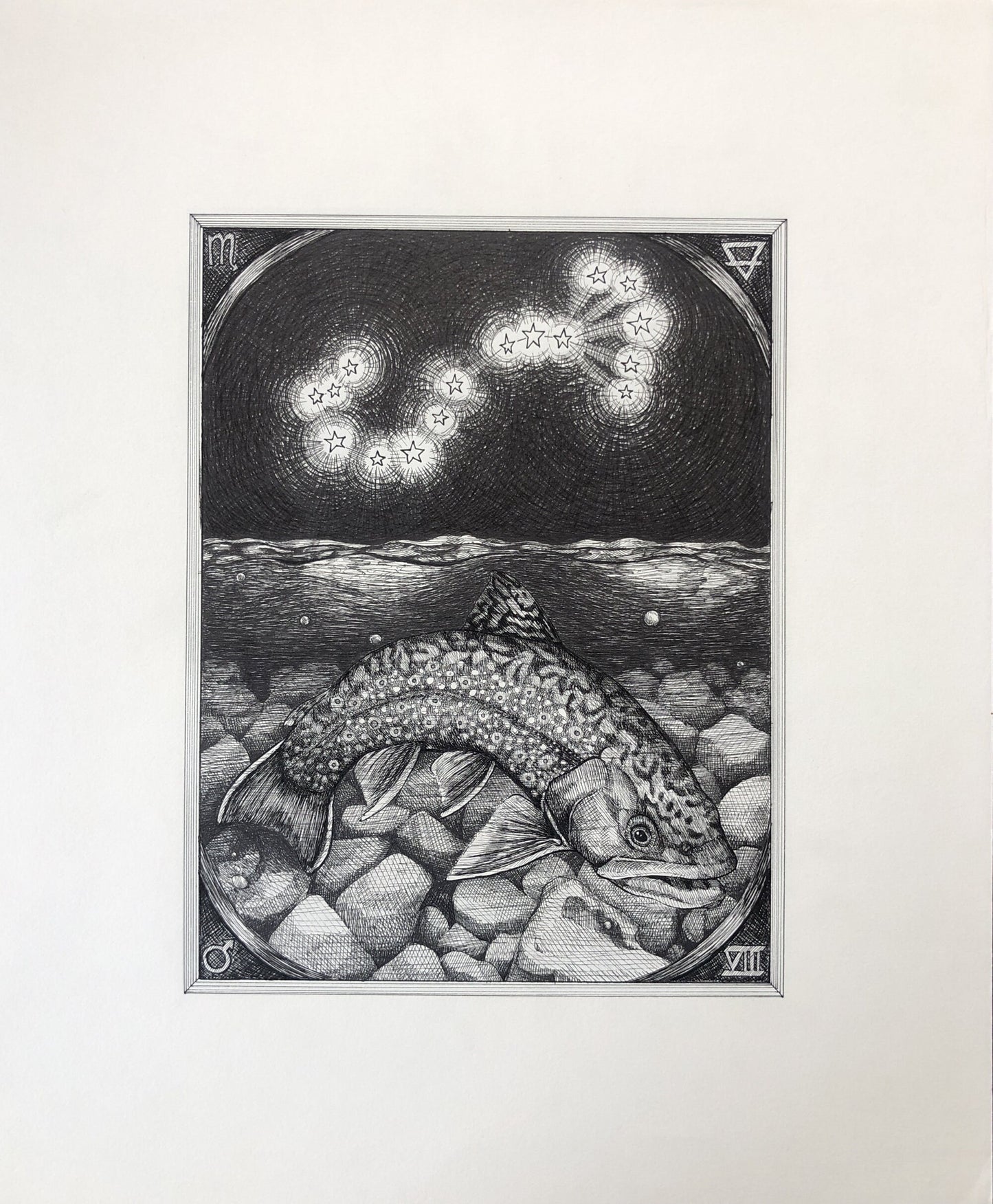 Scorpio limited edition print