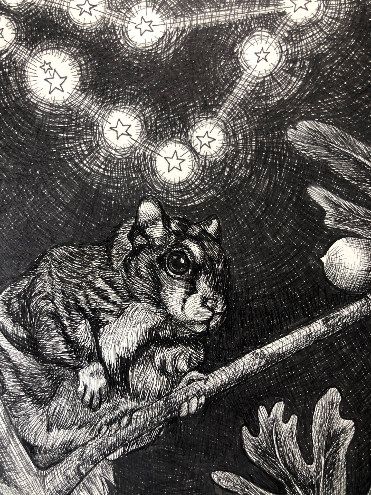 Capricorn limited edition print