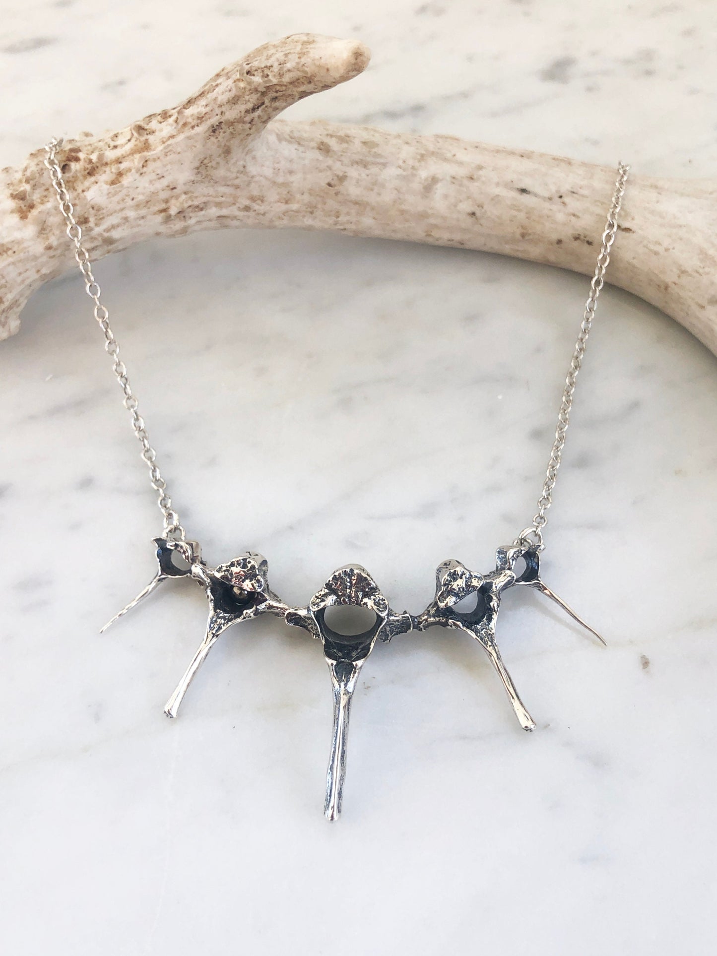 Fox, Opossum, Squirrel vertebrae necklace
